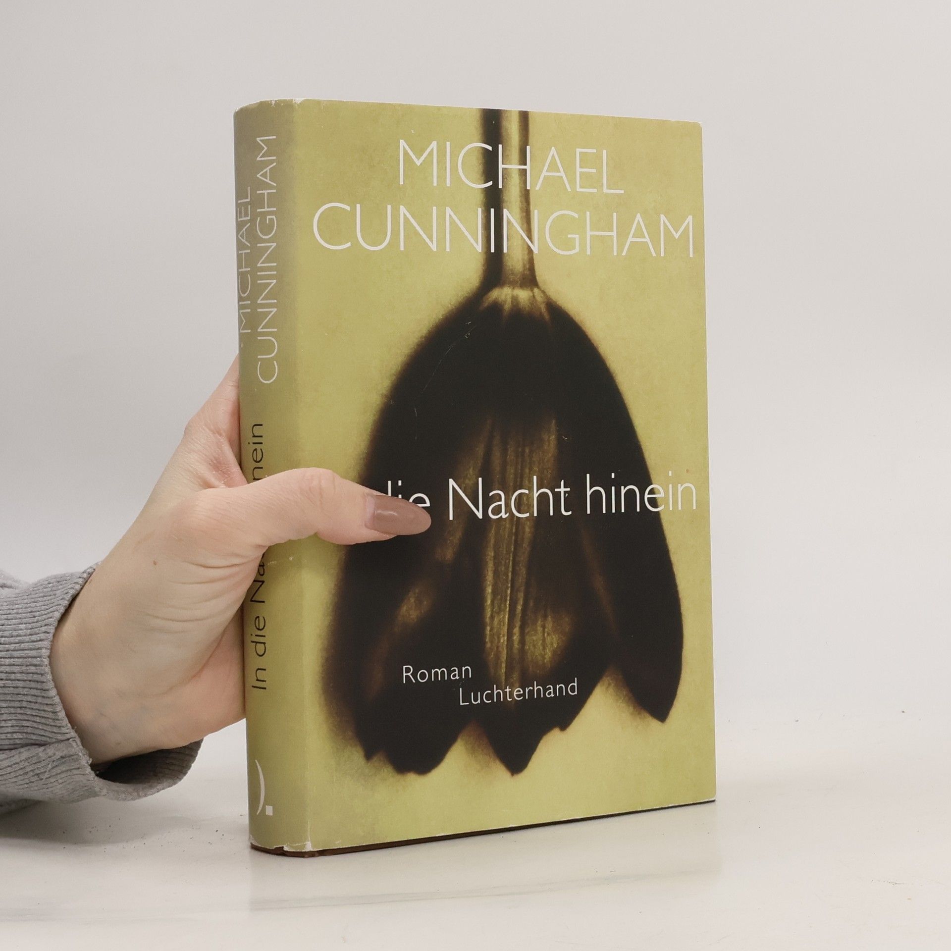 Michael Cunningham In die Nacht hinein