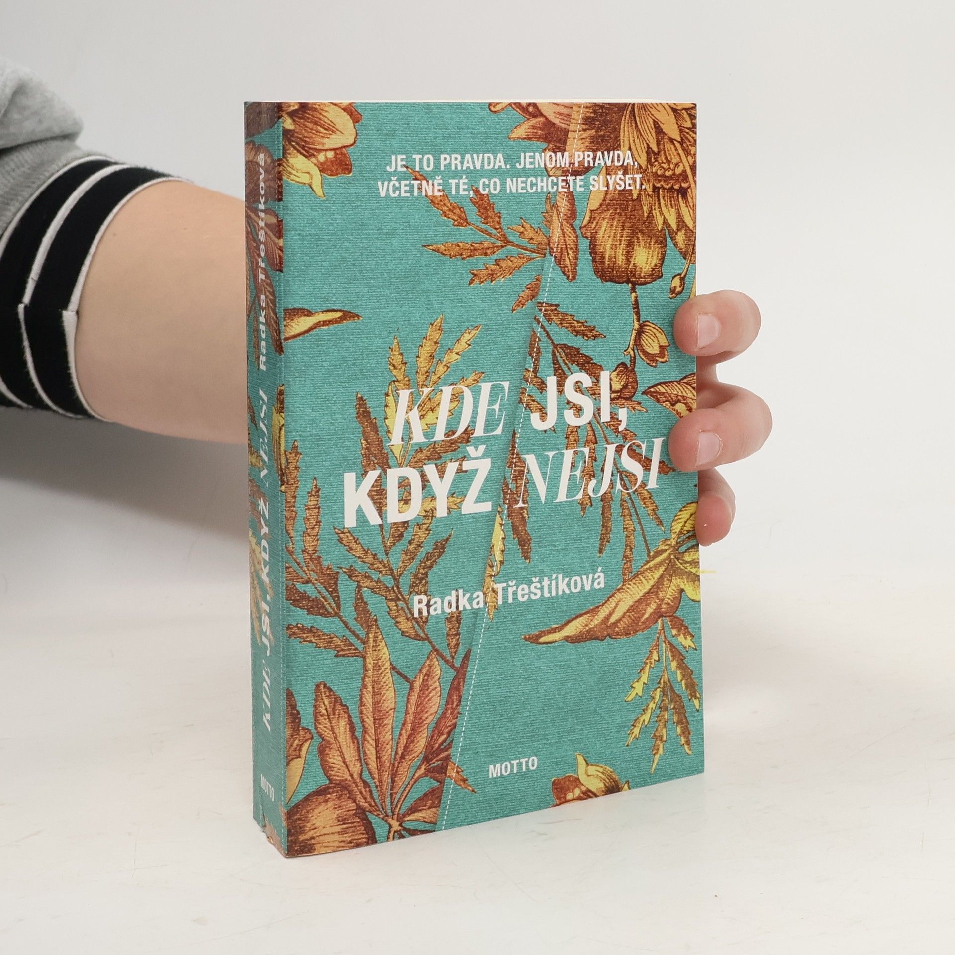 Radka Třeštíková Kde jsi, když nejsi