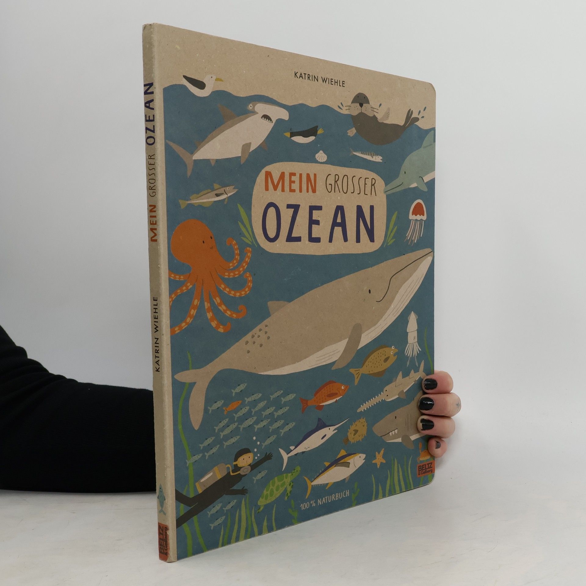 Katrin Wiehle Mein grosser Ozean