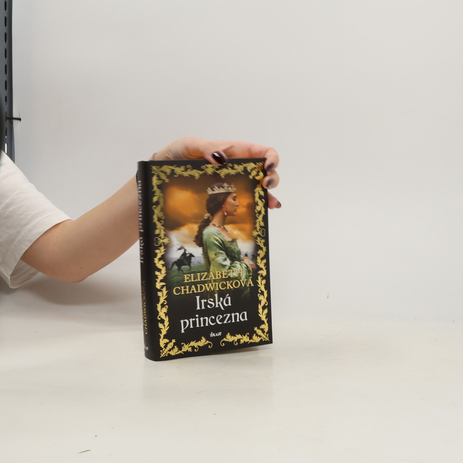 Elizabeth Chadwick Irská princezna