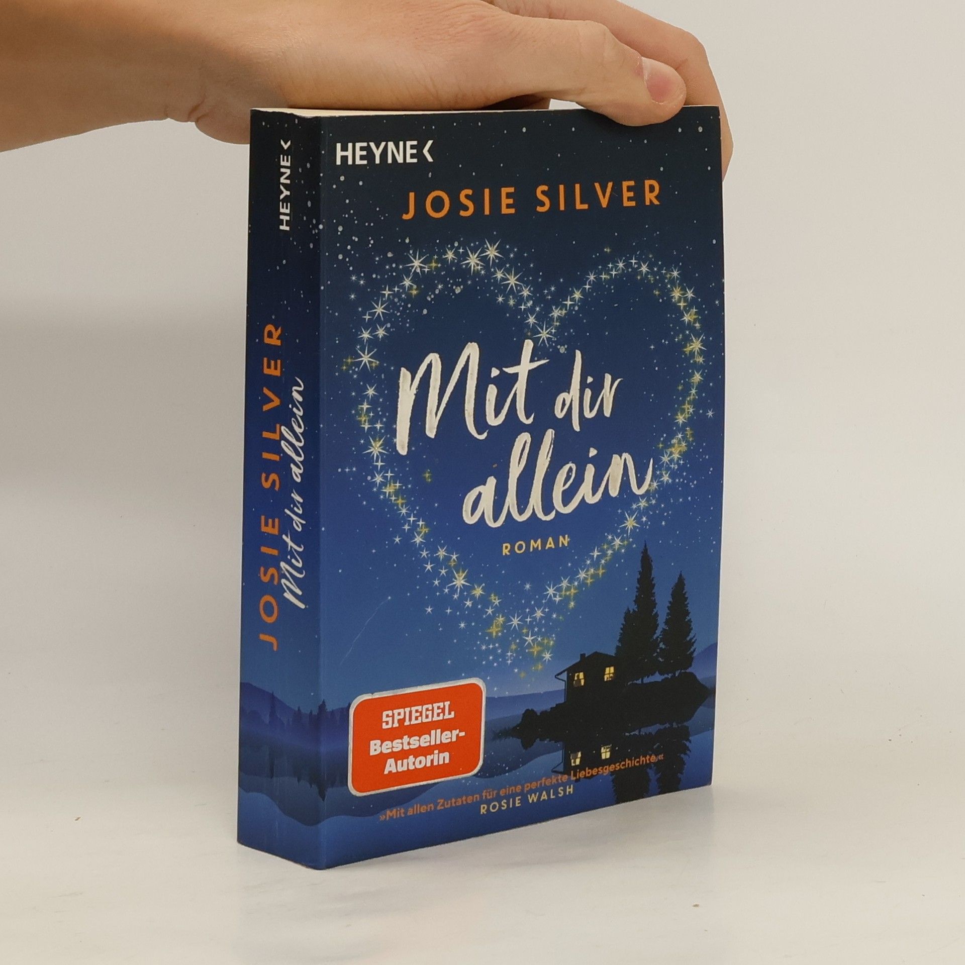 Josie Silver Mit dir allein