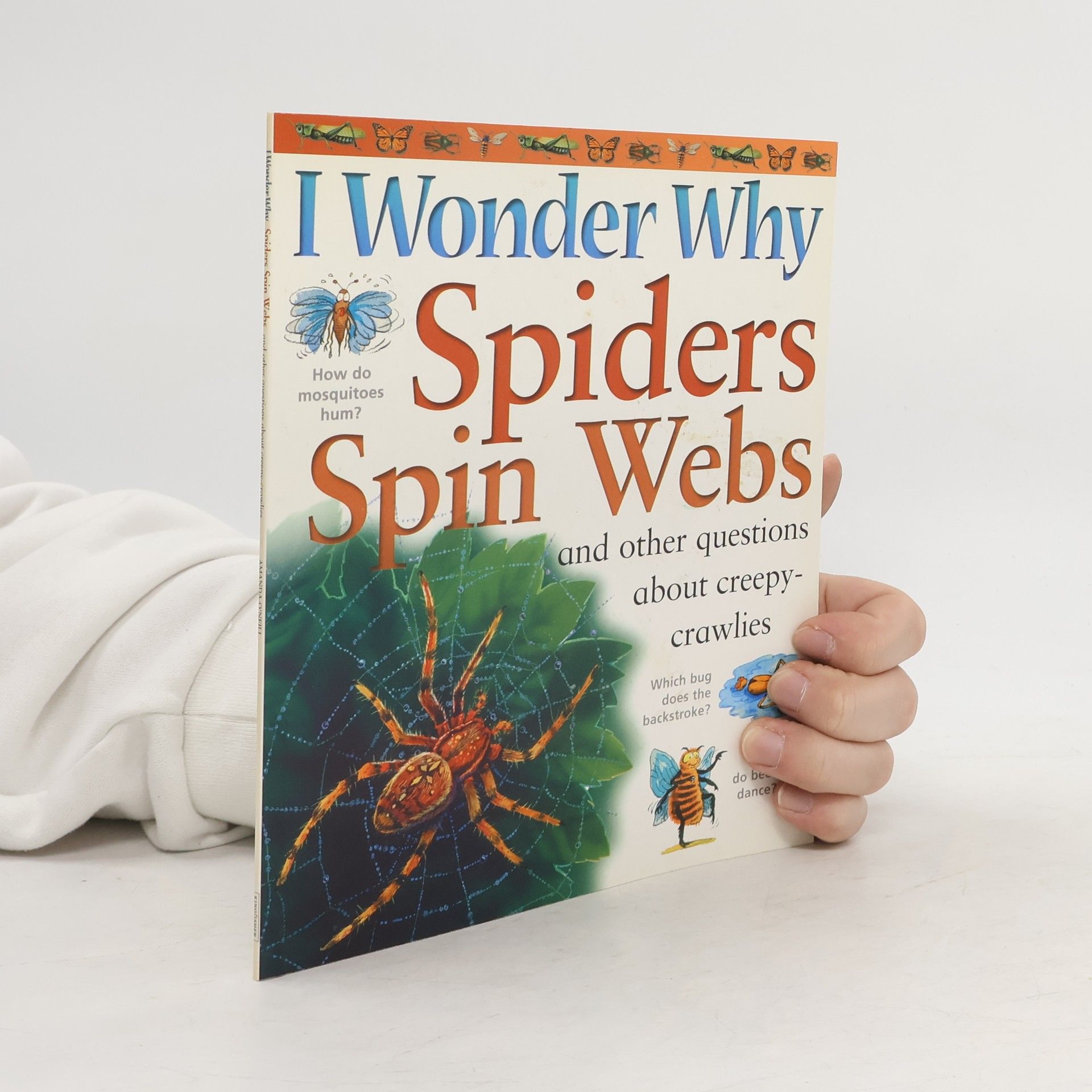 Amanda O´Neill I Wonder why Spiders Spin Webs