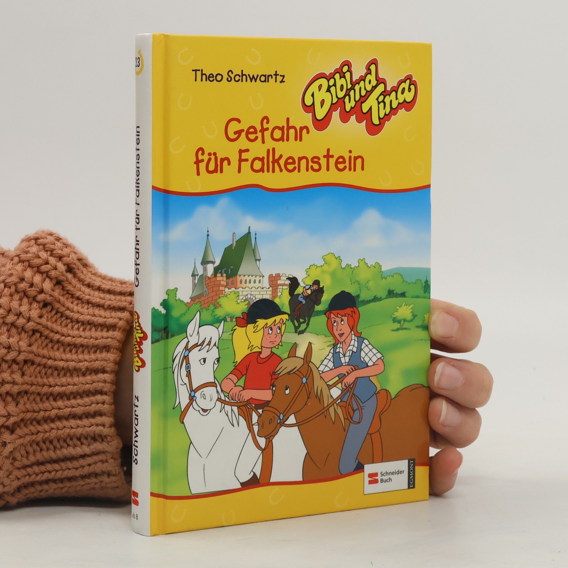 Bibi und Tina. Gefahr für Falkenstein