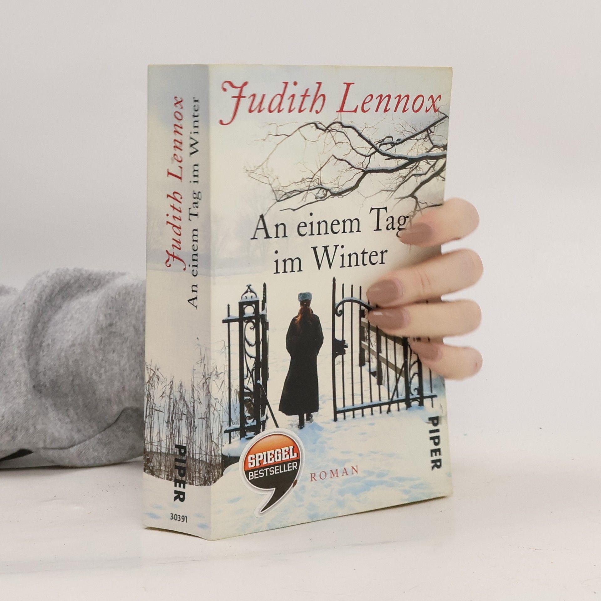 Judith Lennox An einem Tag im Winter