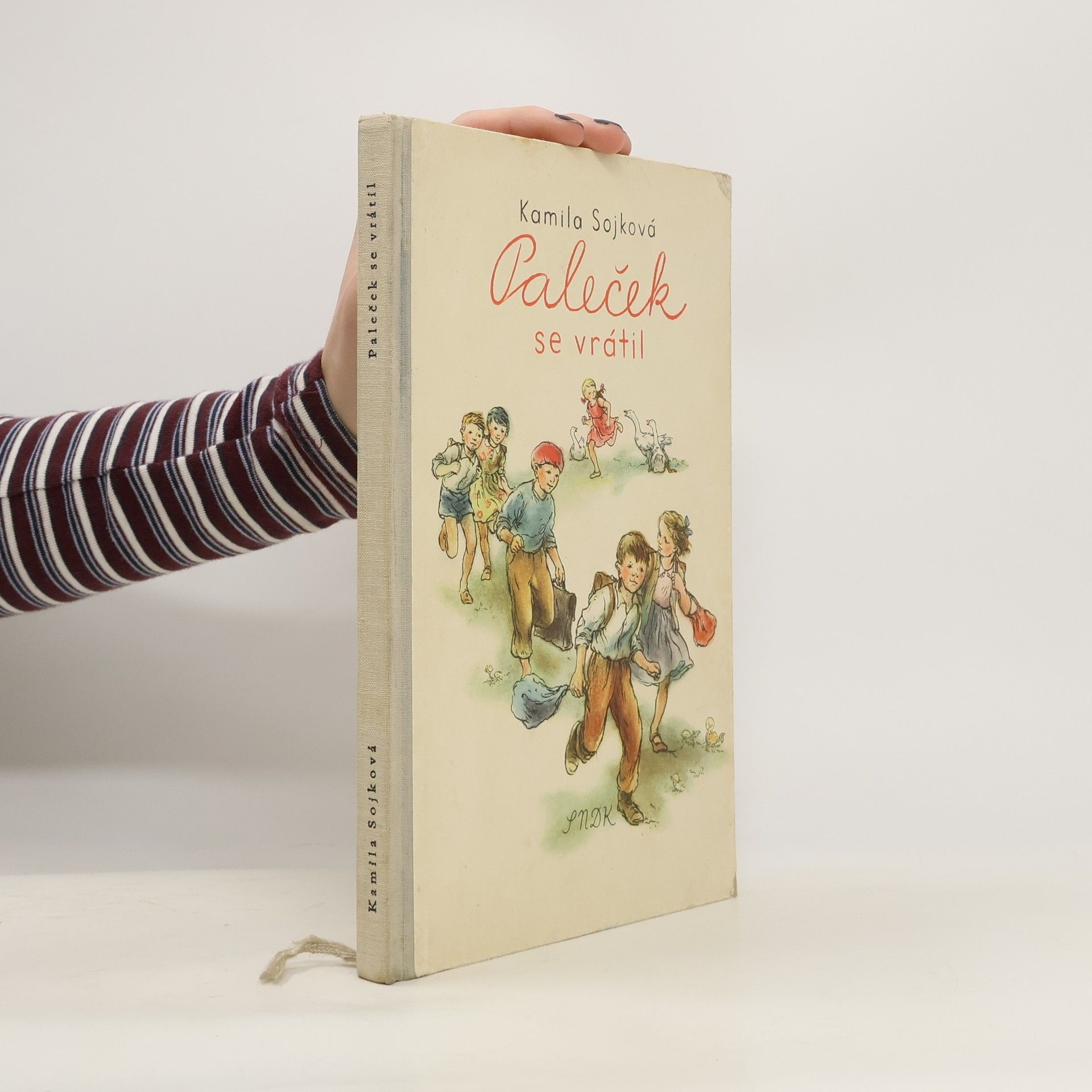 Kamila Sojková Paleček se vrátil