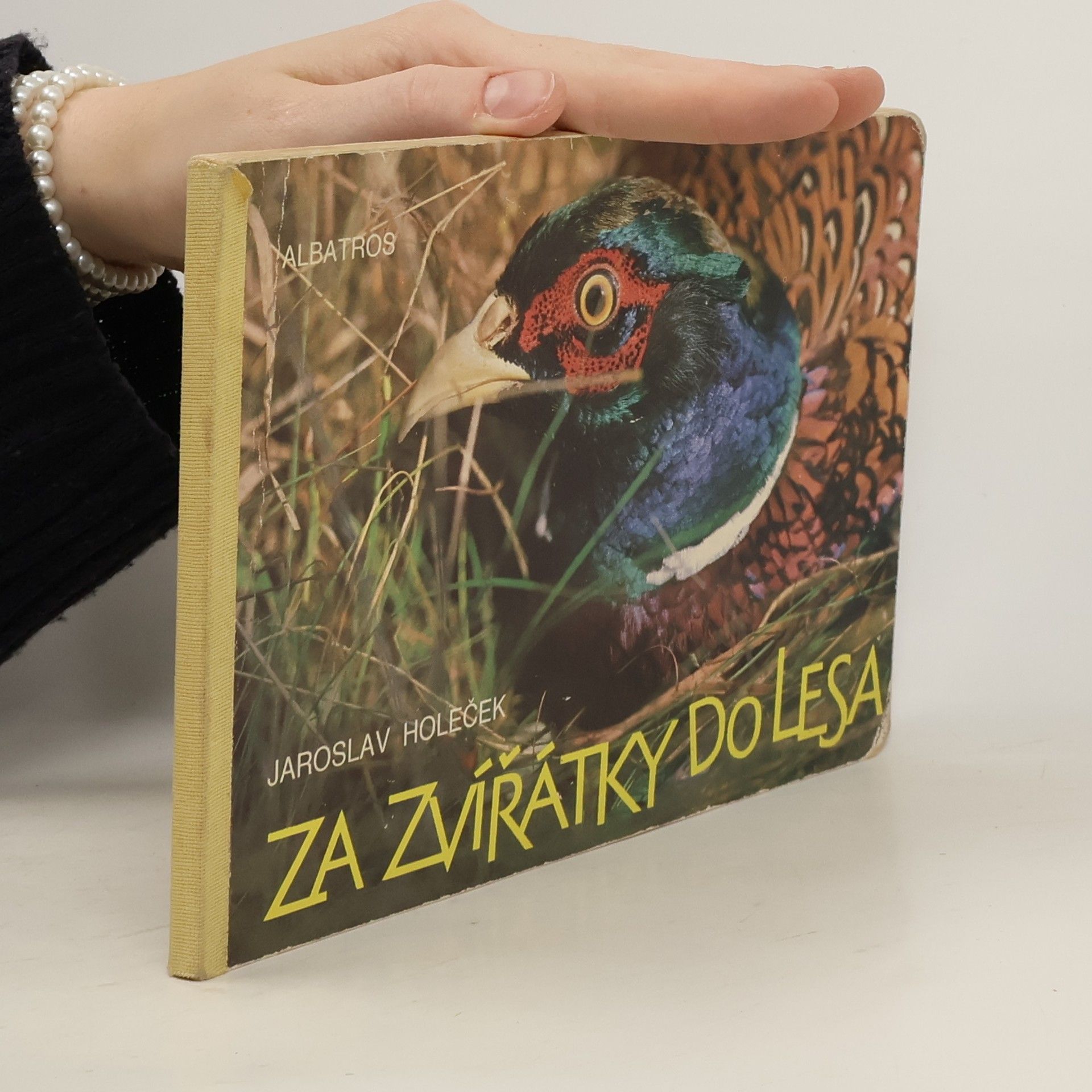 Jaroslav Holeček Za zvířátky do lesa