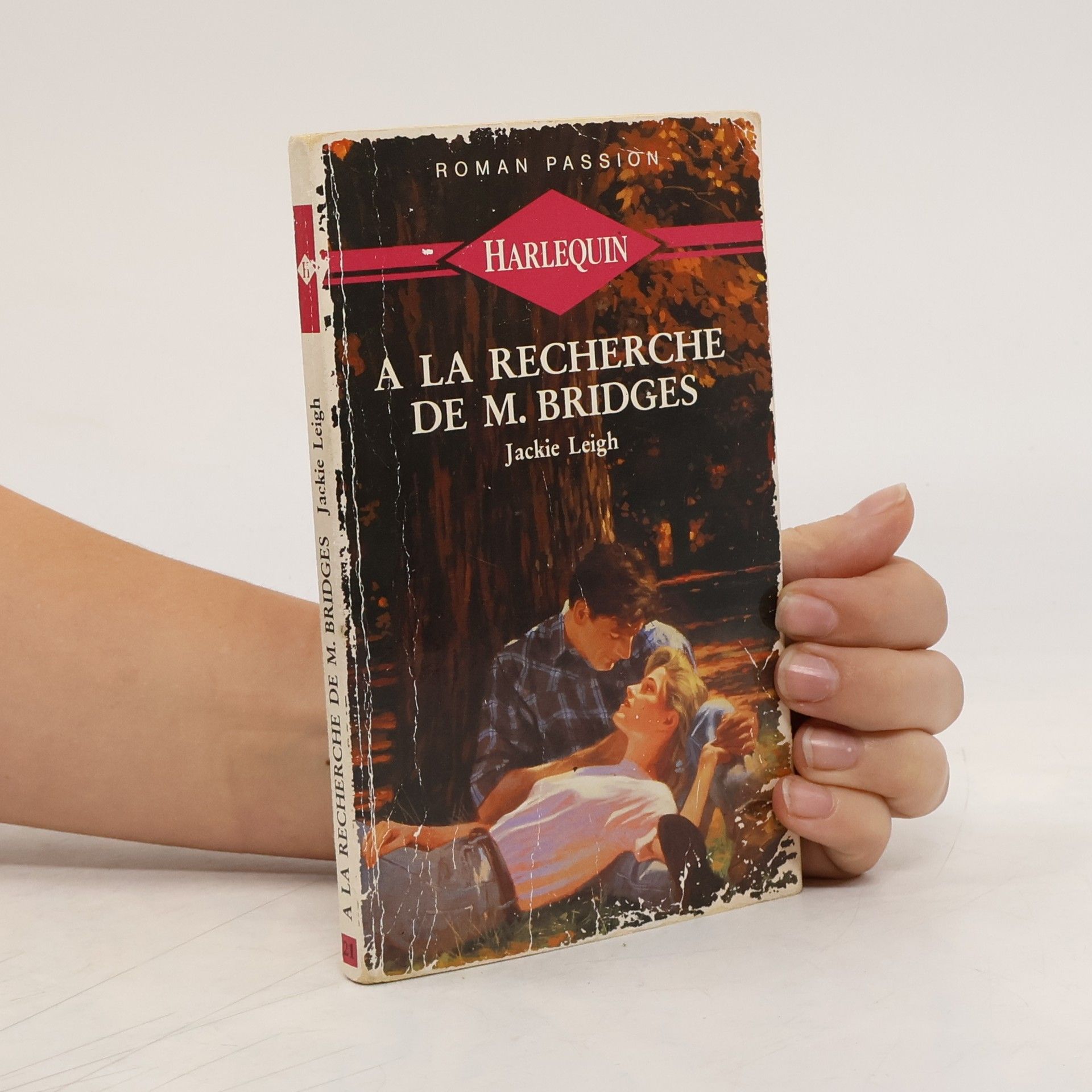 Jackie Leigh Allen Roman Passion - 21: À la recherche de M. Bridges