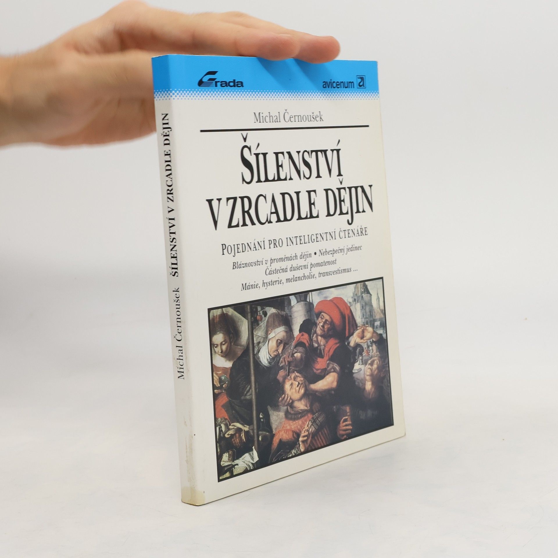 Šílenství v zrcadle dějin