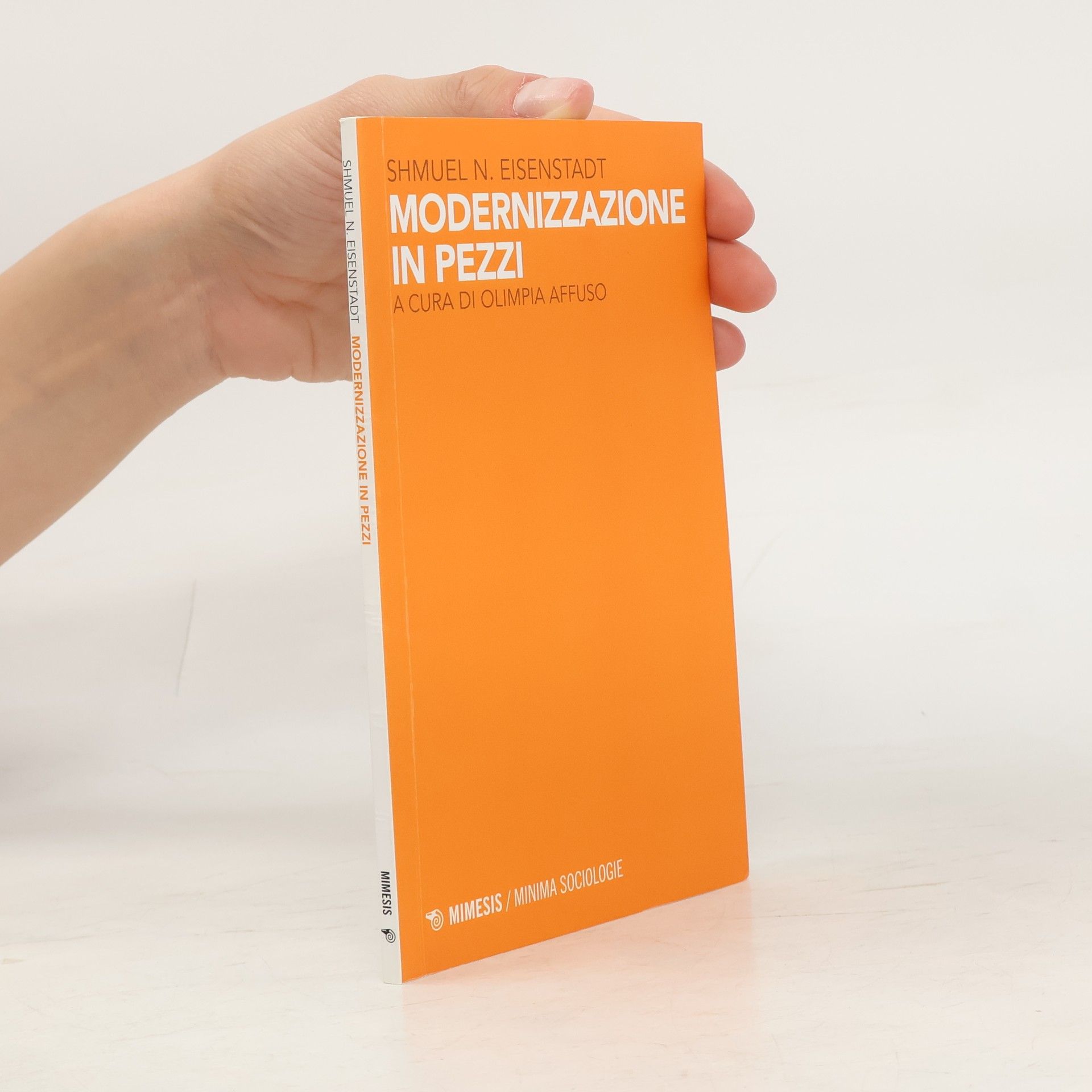 Modernizzazione in pezzi