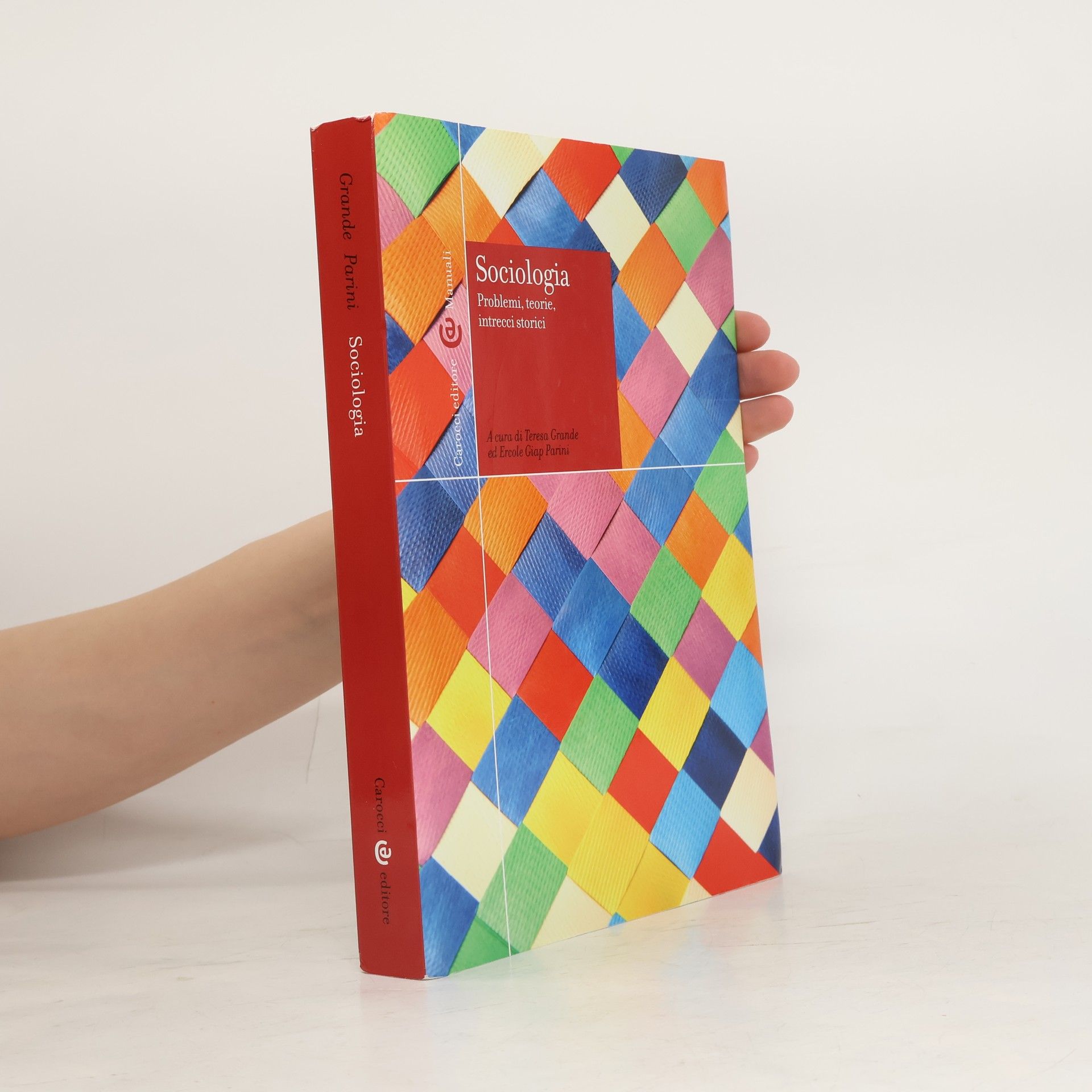 Teresa Grande Sociologia