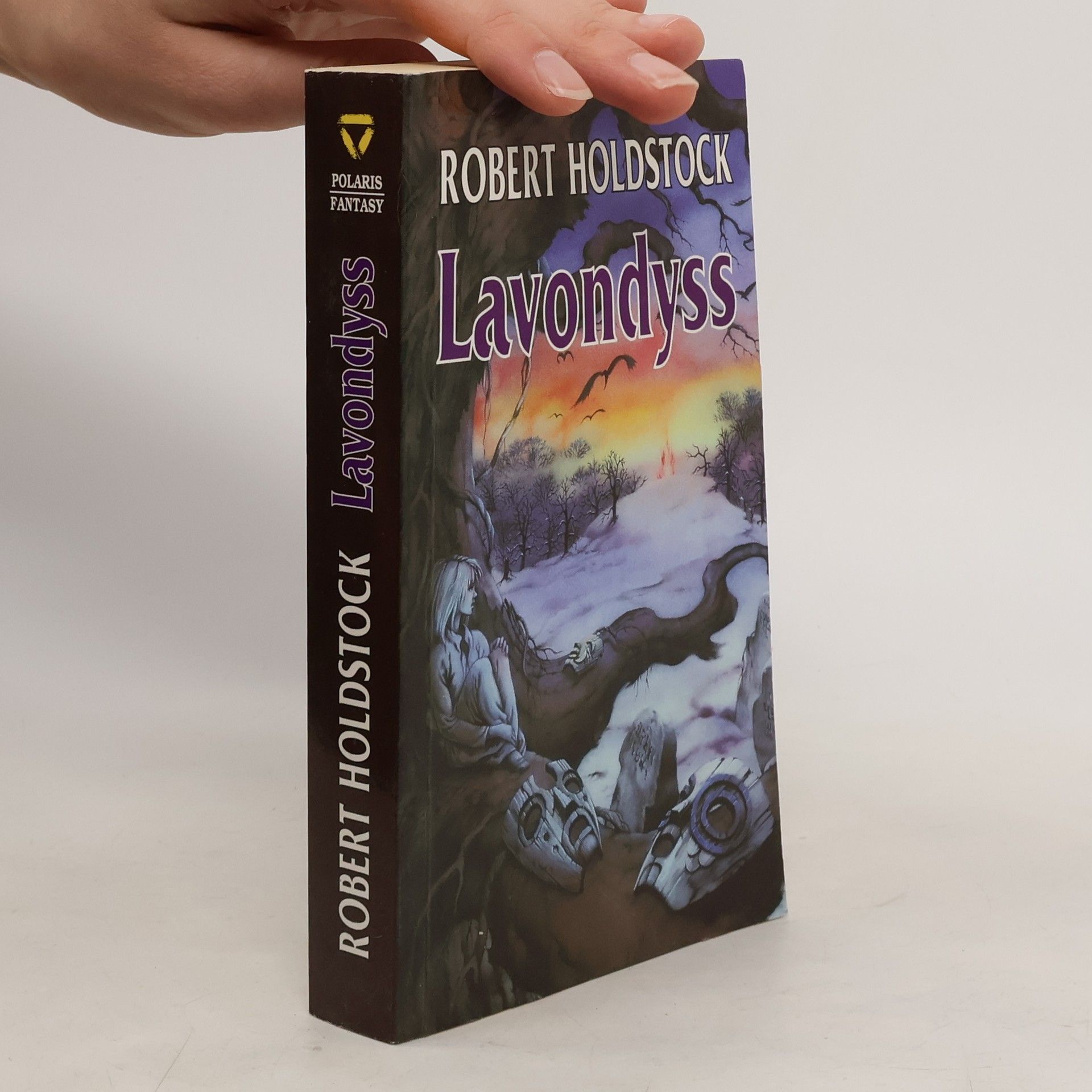 Robert Holdstock Lavondyss : cesta do neznámé země