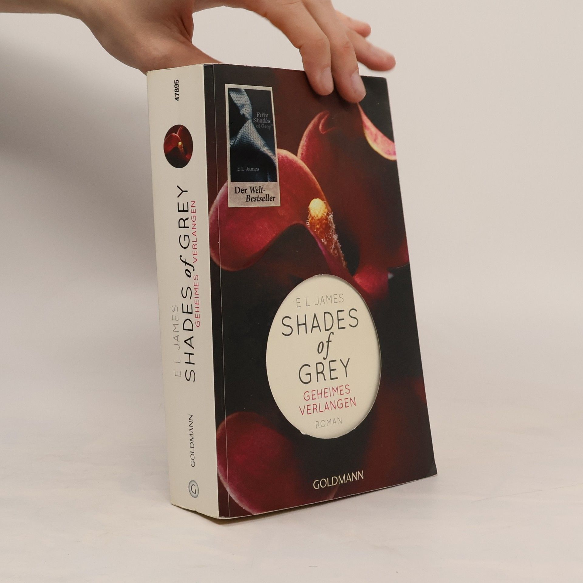 Shades of Grey. Geheimes Verlangen