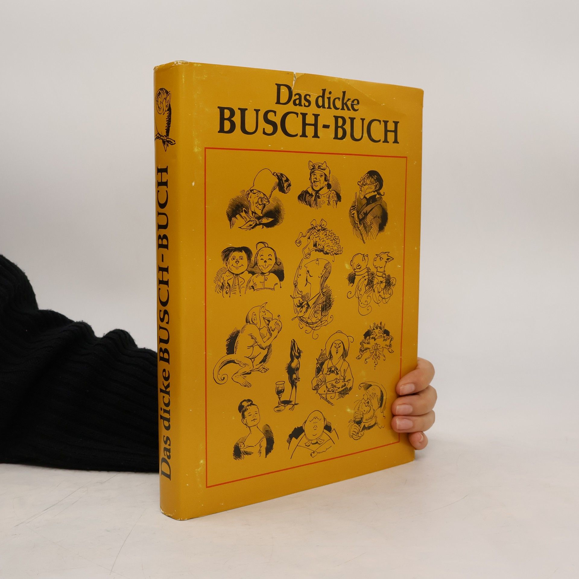 Das dicke Busch-Buch