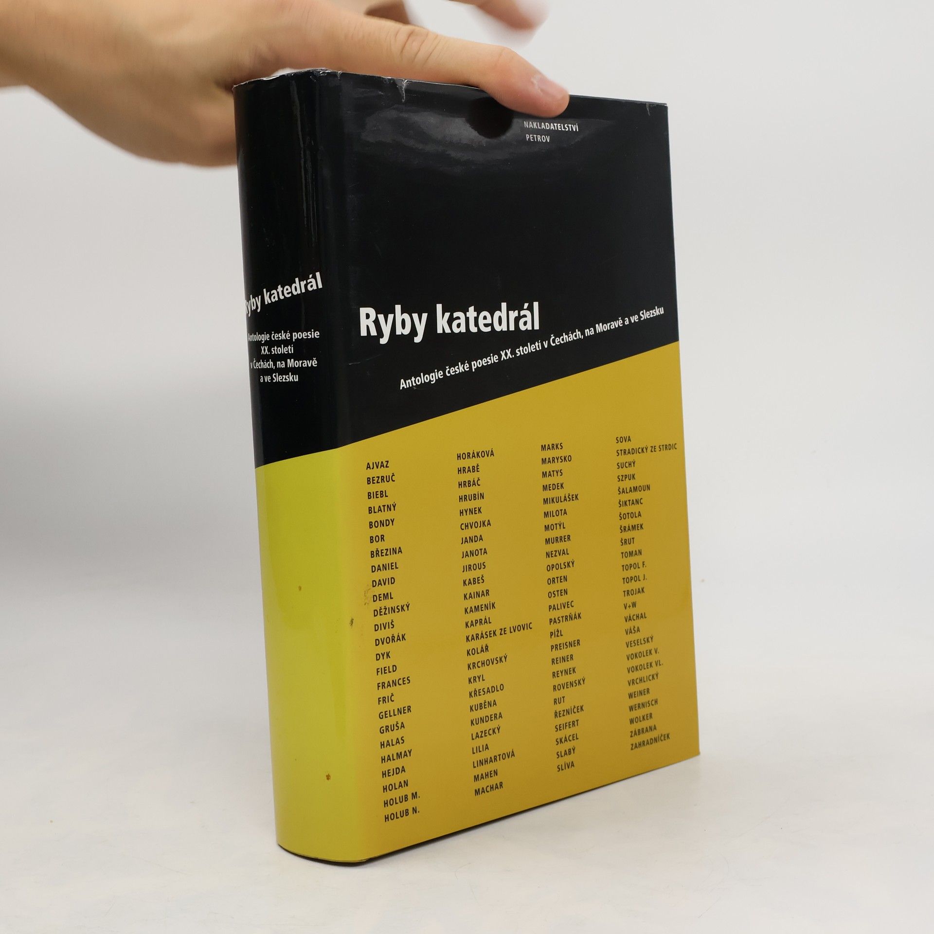 Autorenkollektiv Ryby katedrál. Antologie české poesie XX. století v Čechách, na Moravě a ve Slezsku