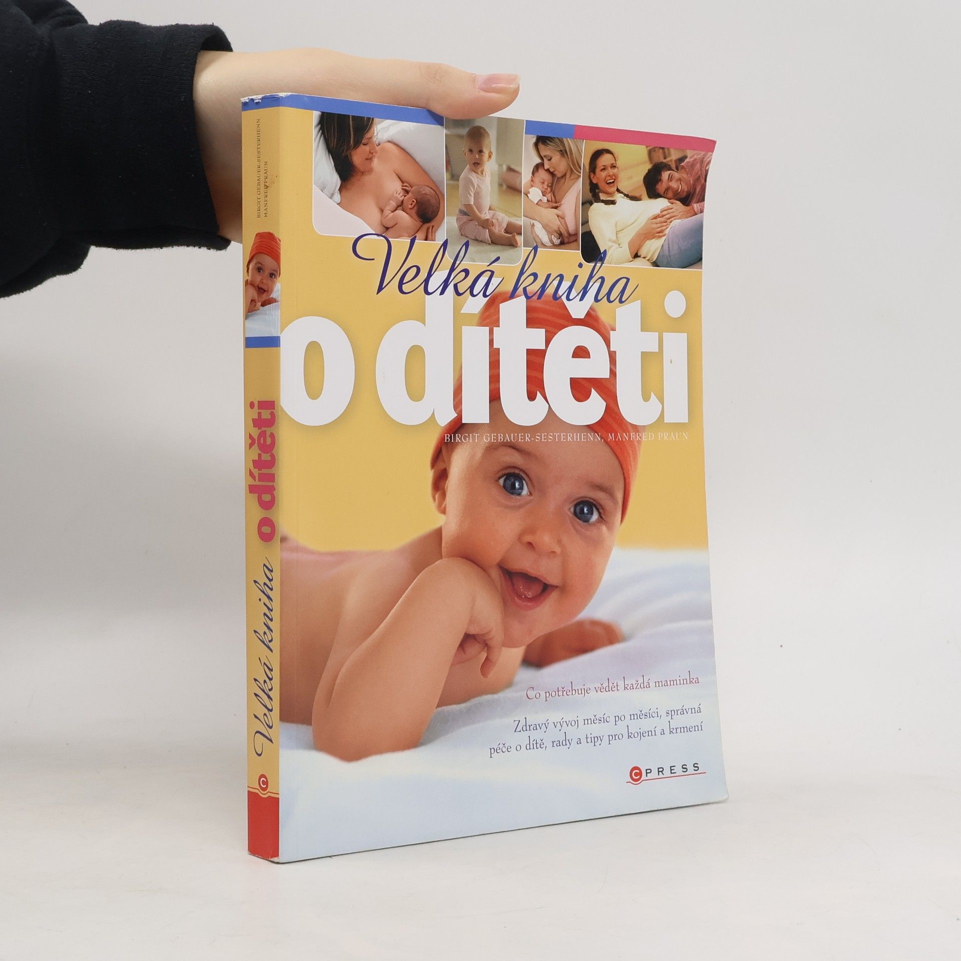 Birgit Gebauer Sesterhenn Velká kniha o dítěti