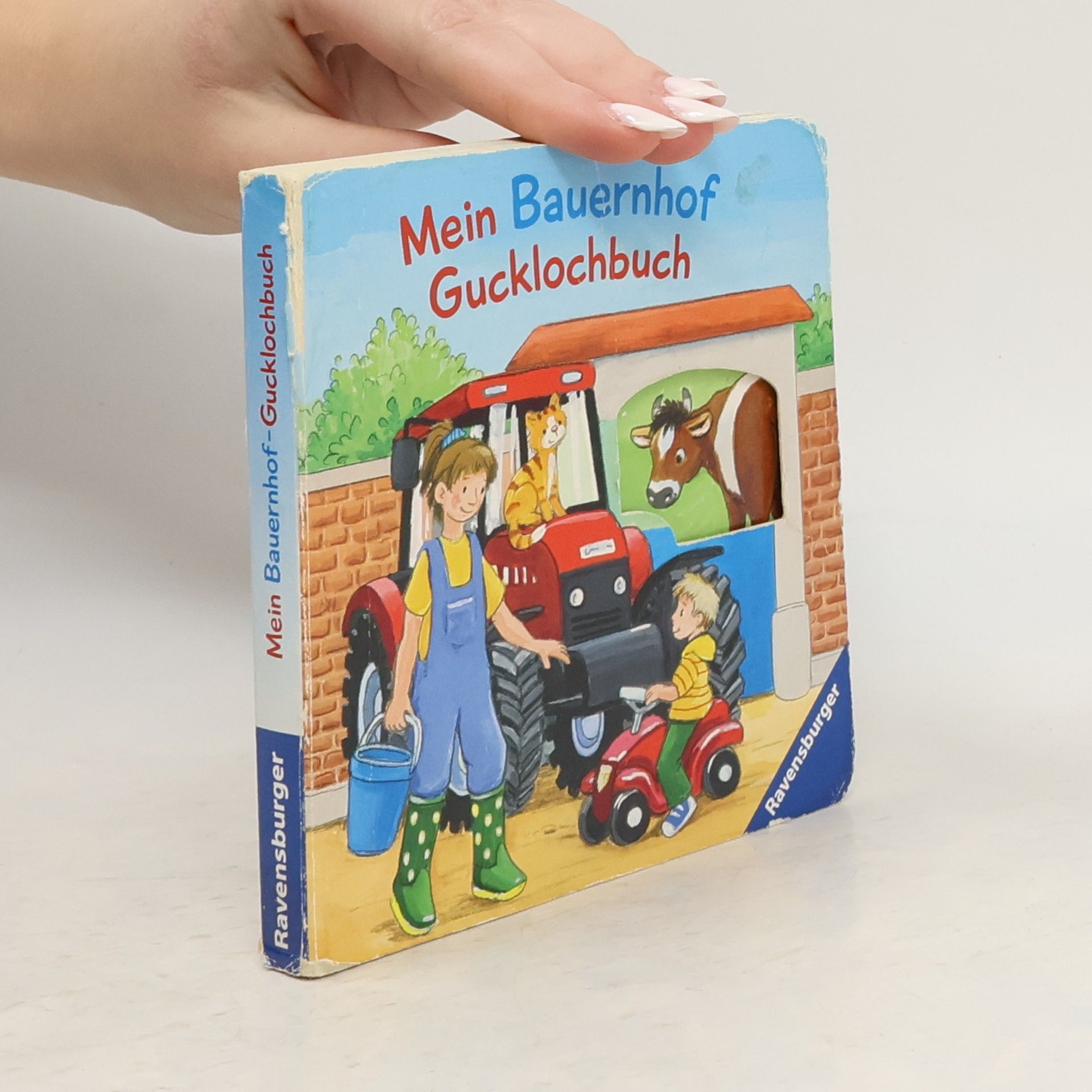 Antje Flad Mein Bauernhof Gucklochbuch