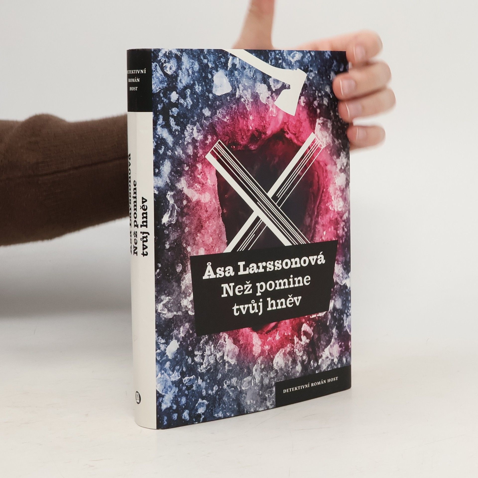 Åsa Larsson Než pomine tvůj hněv