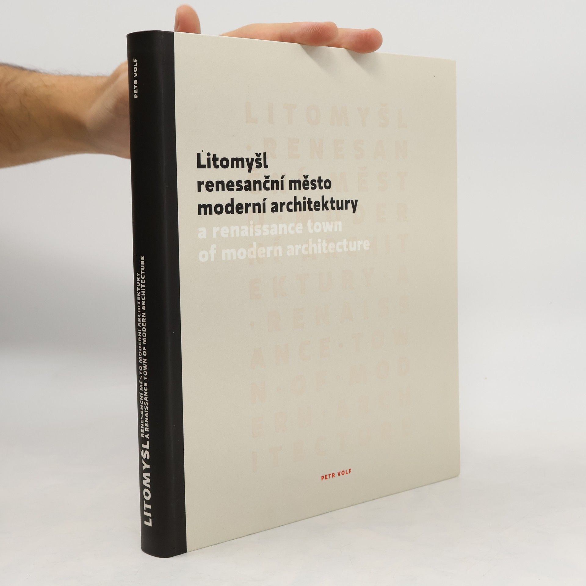 Joanne Davison Litomyšl : renesanční město moderní architektury = a renaissance town of modern architecture