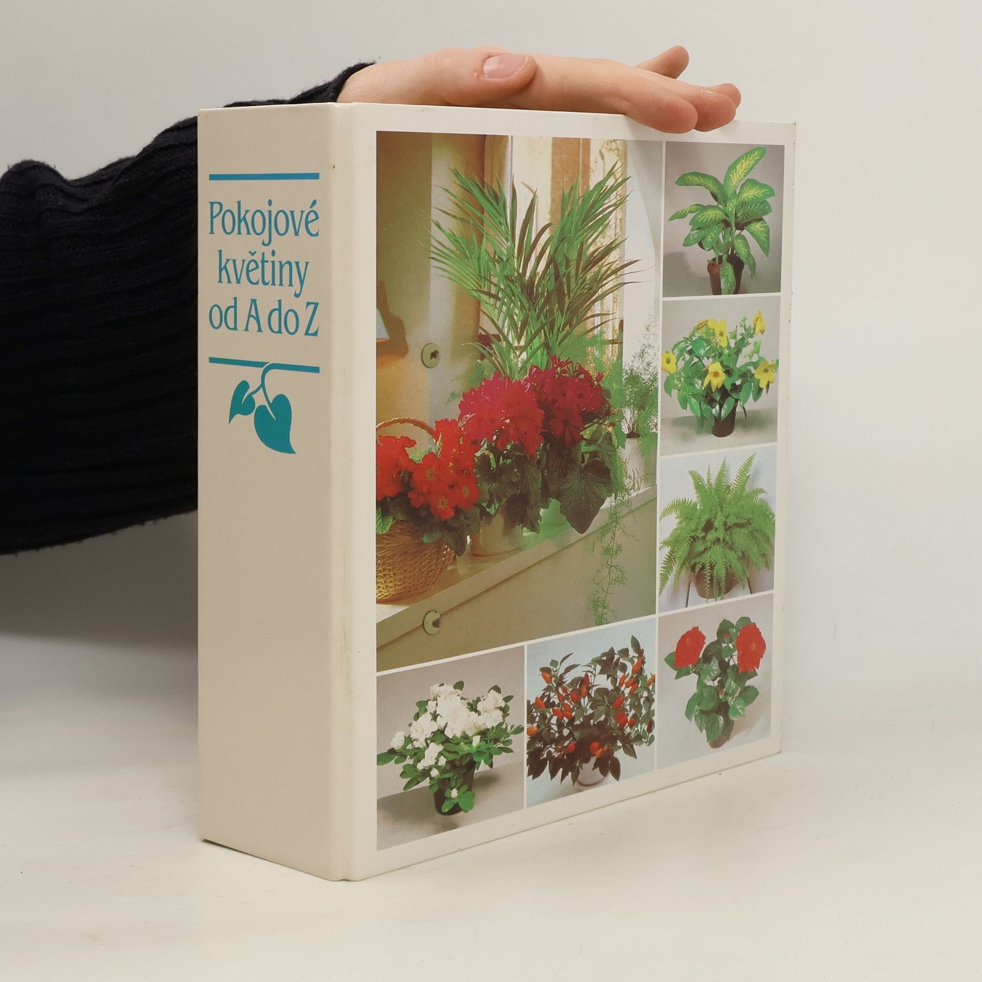 Collectif d'auteurs Pokojové květiny od A do Z