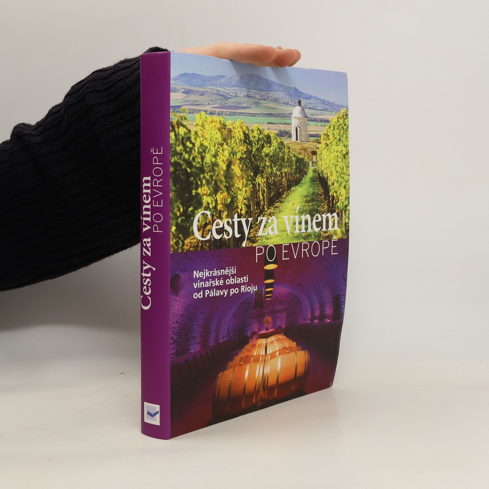 Kolektív autorov Cesty za vínem po Evropě
