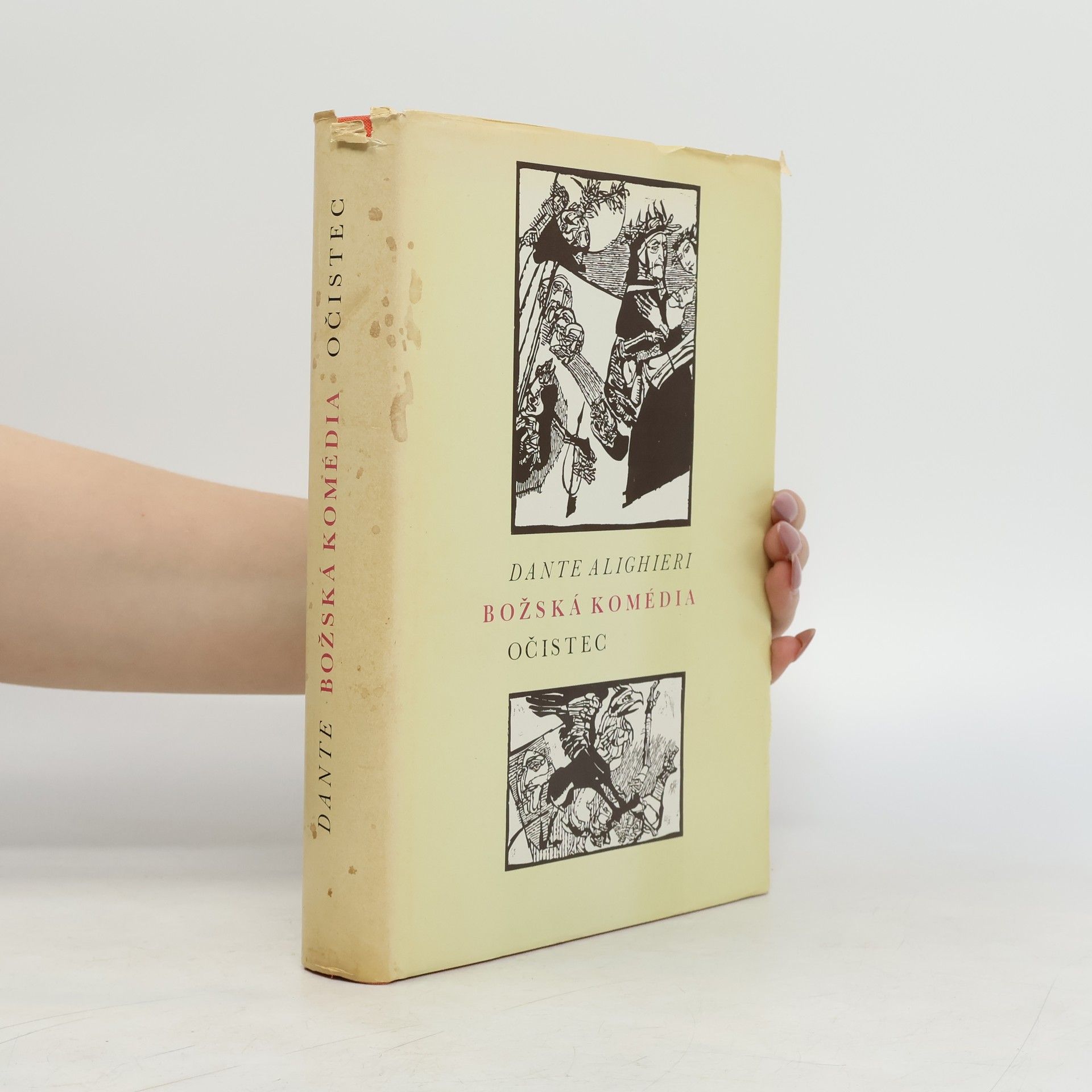 Dante Alighieri Božská komédia. Očistec