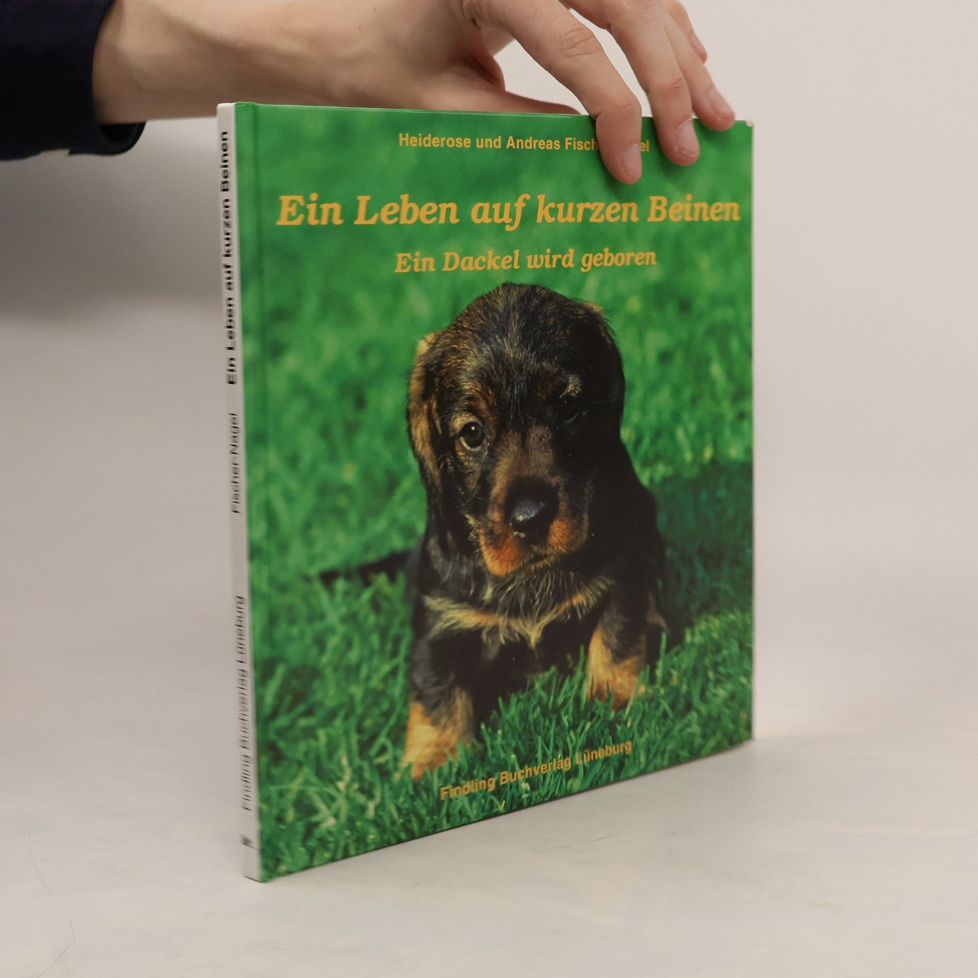 Andreas Fischer Ein Leben auf kurzen Beinen