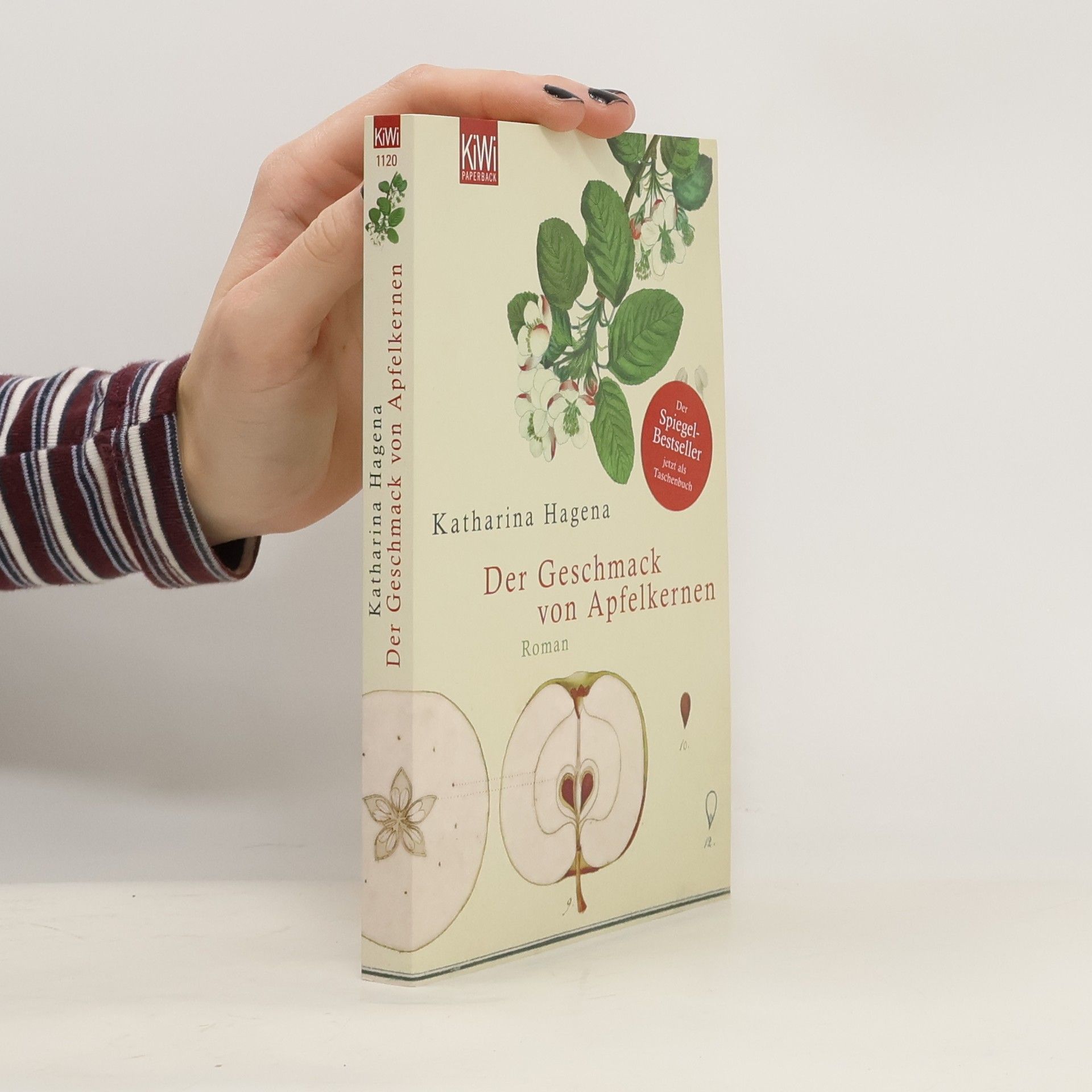 Katharina Hagena Der Geschmack von Apfelkernen