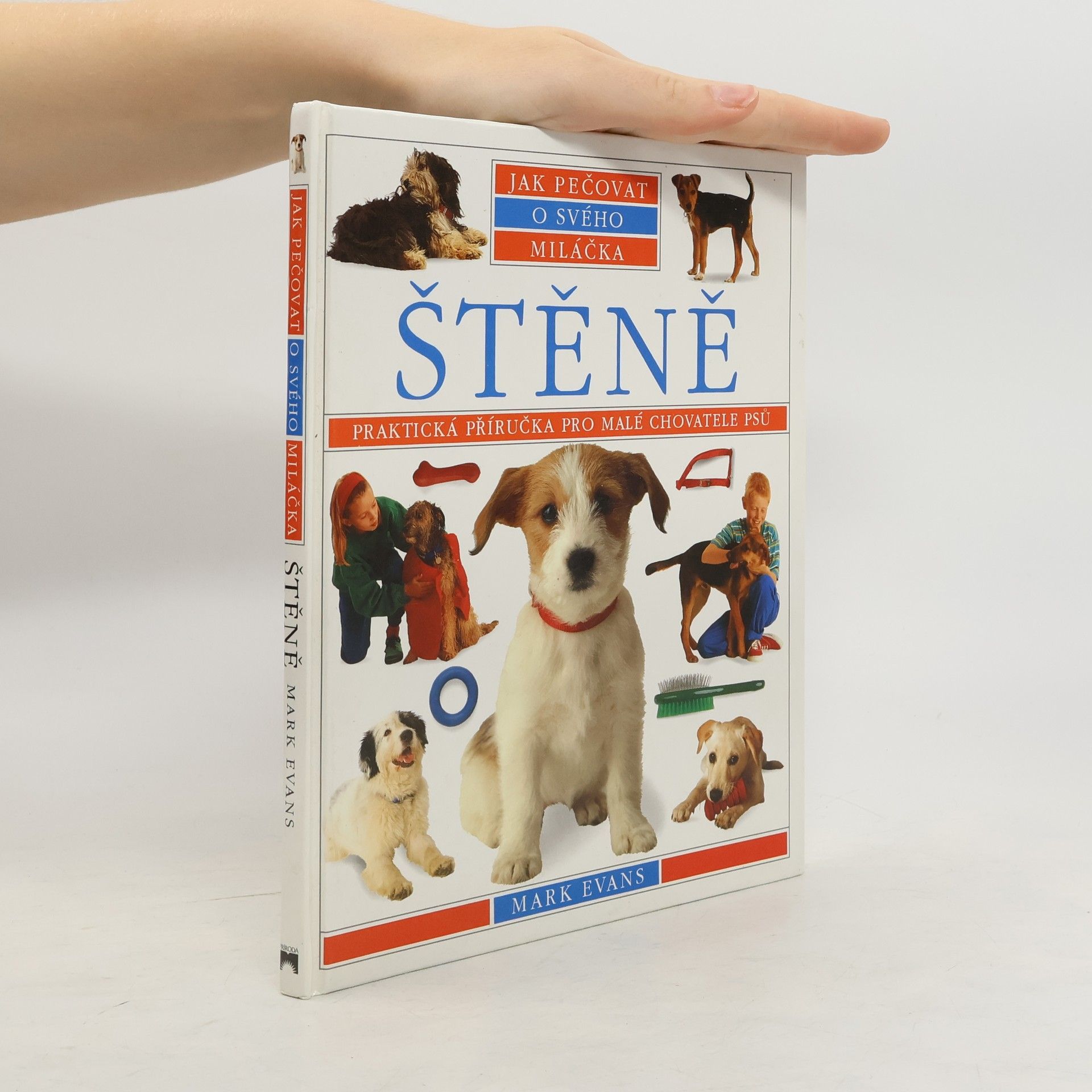 Mark Evans Štěně. Praktická příručka pro malé chovatele psů.
