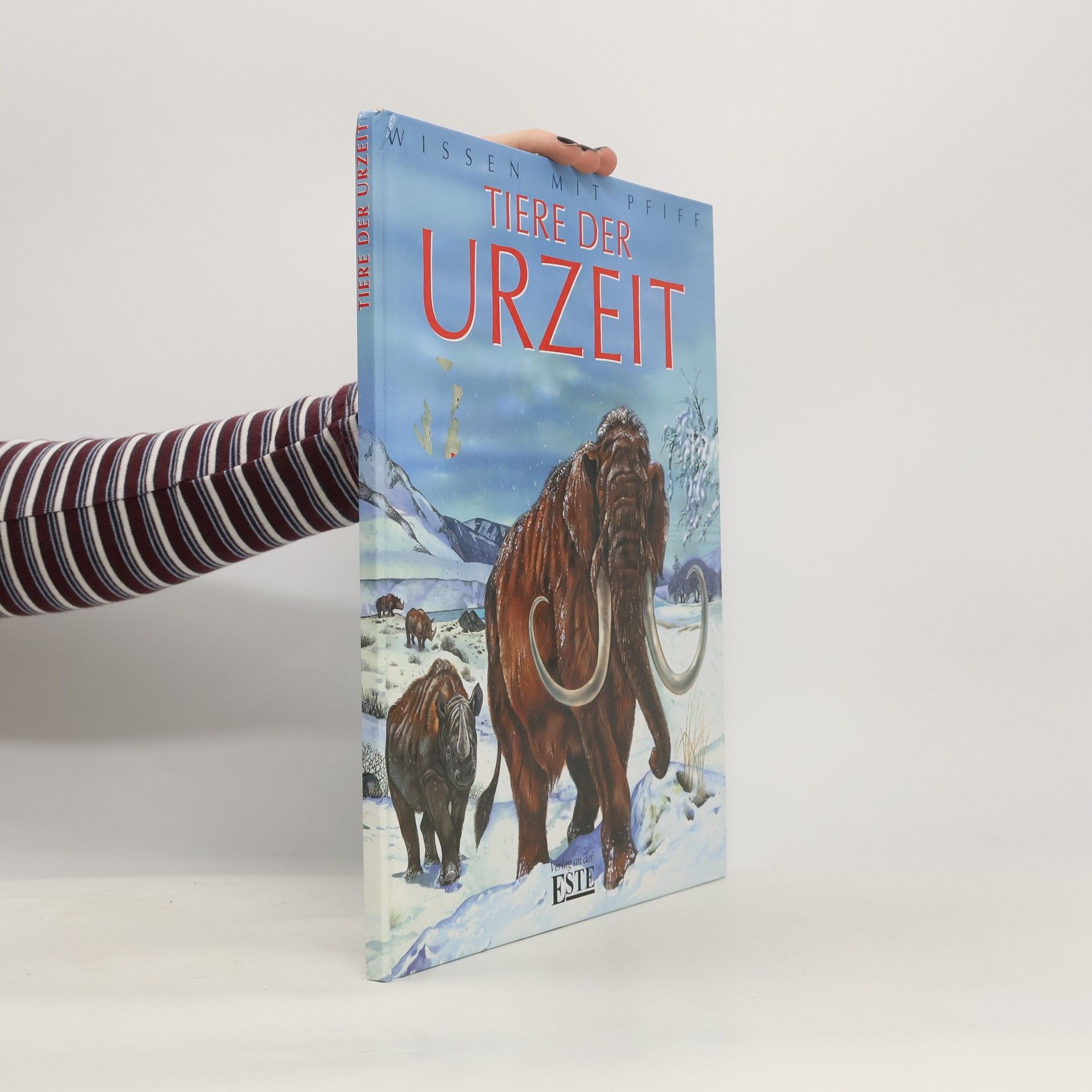 Kolektiv autorů Tiere der Urzeit