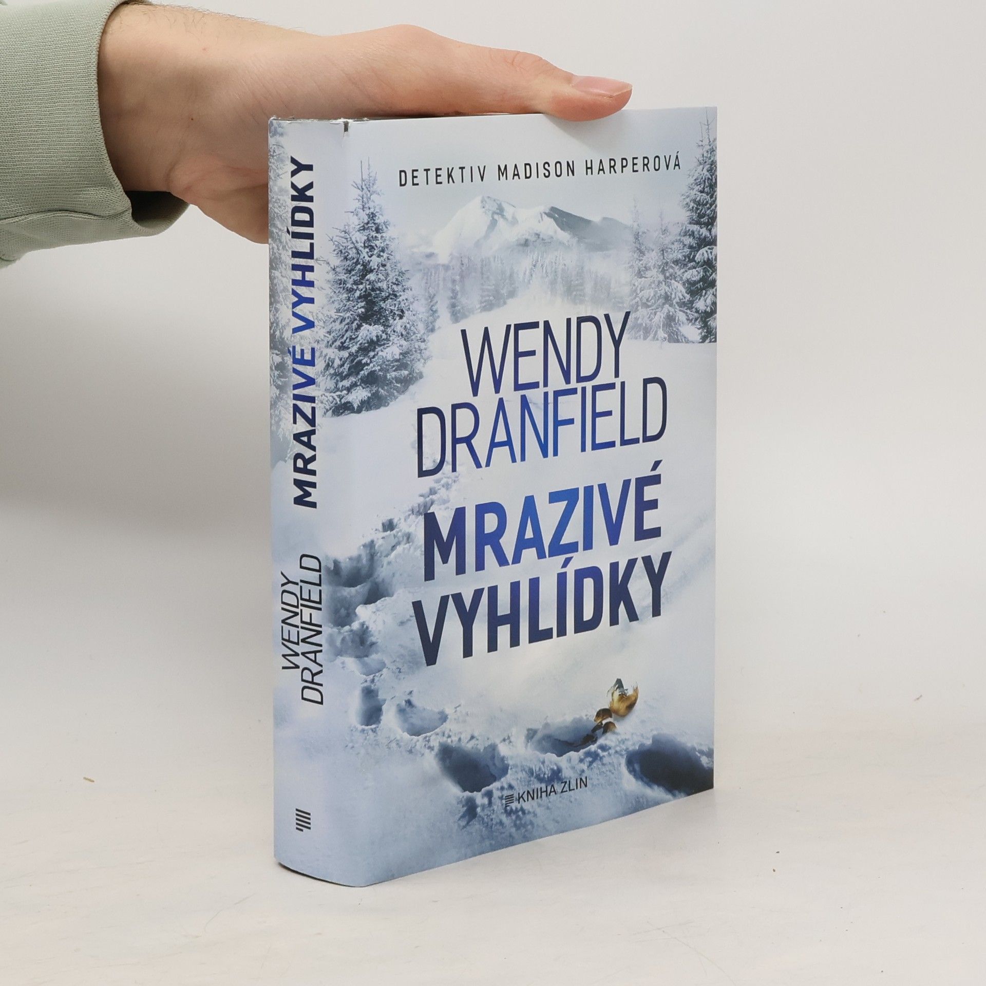 Wendy Dranfield Mrazivé vyhlídky