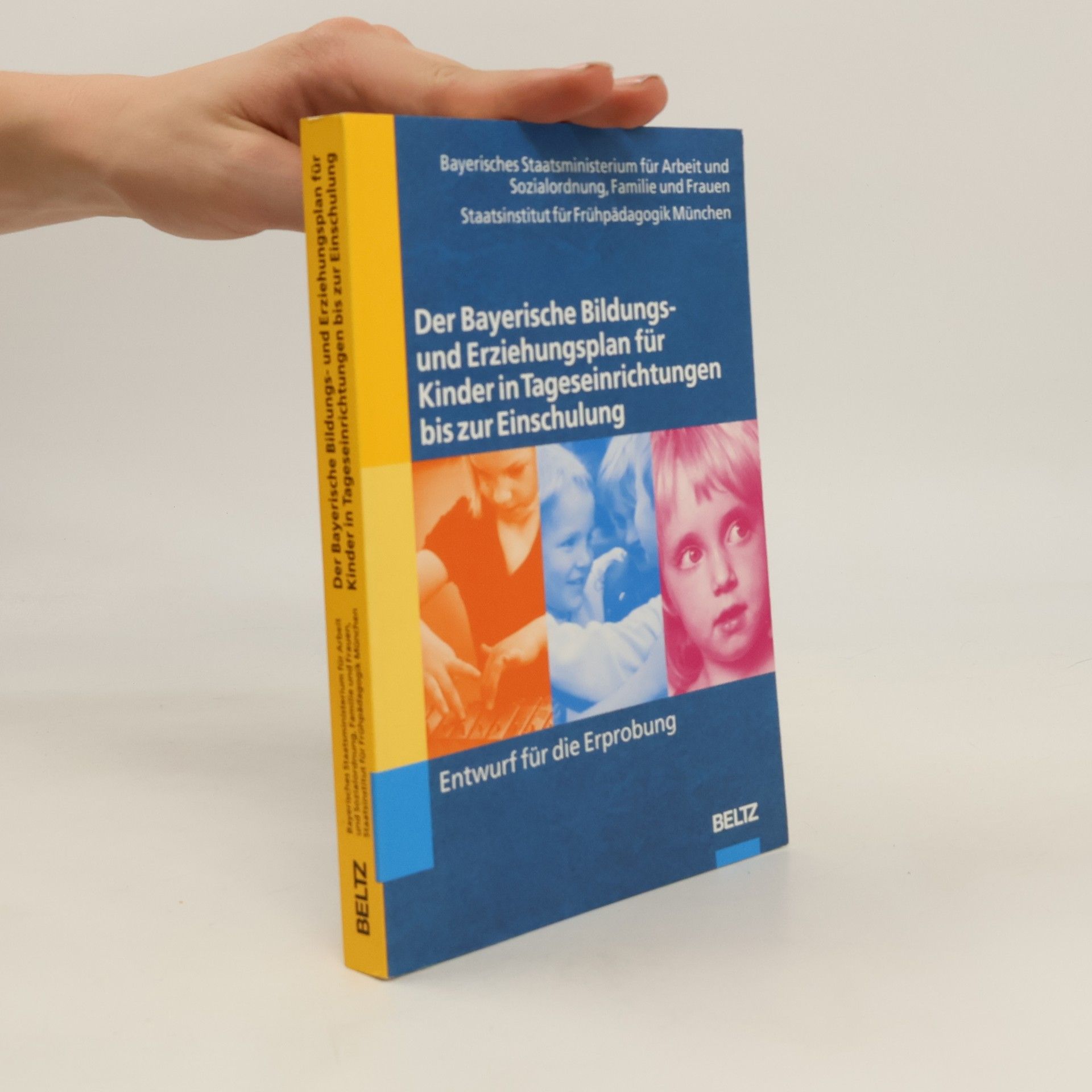 Hans Eirich Der Bayerische Bildungs- und Erziehungsplan für Kinder in Tageseinrichtungen bis zur Einschulung