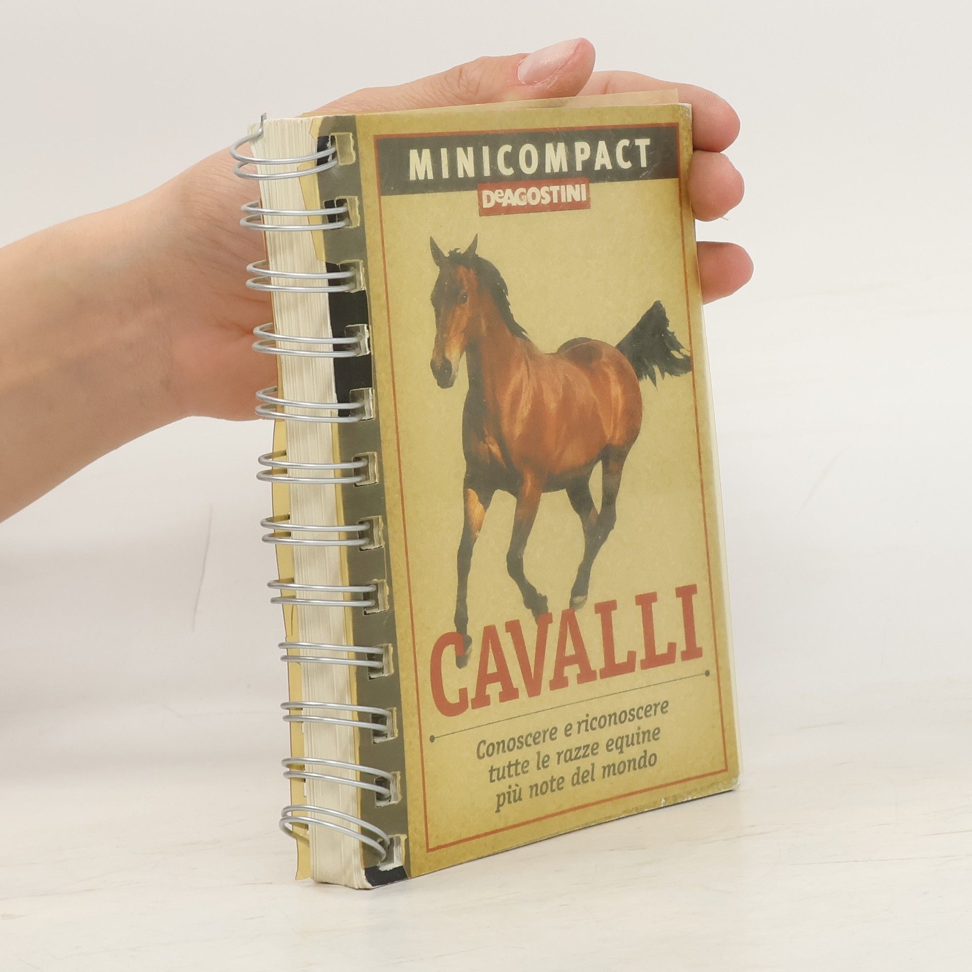 Alberto Soldi Cavalli