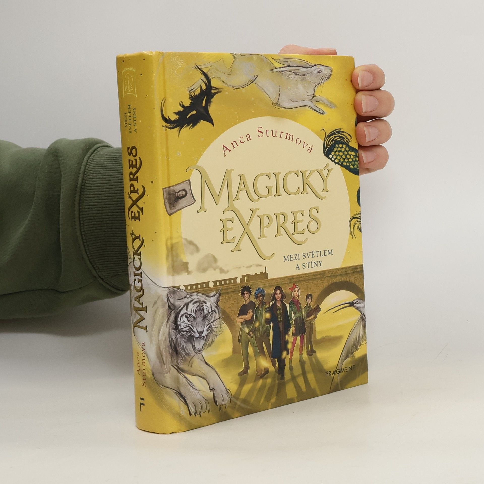 Anca Sturm Mezi světlem a stíny