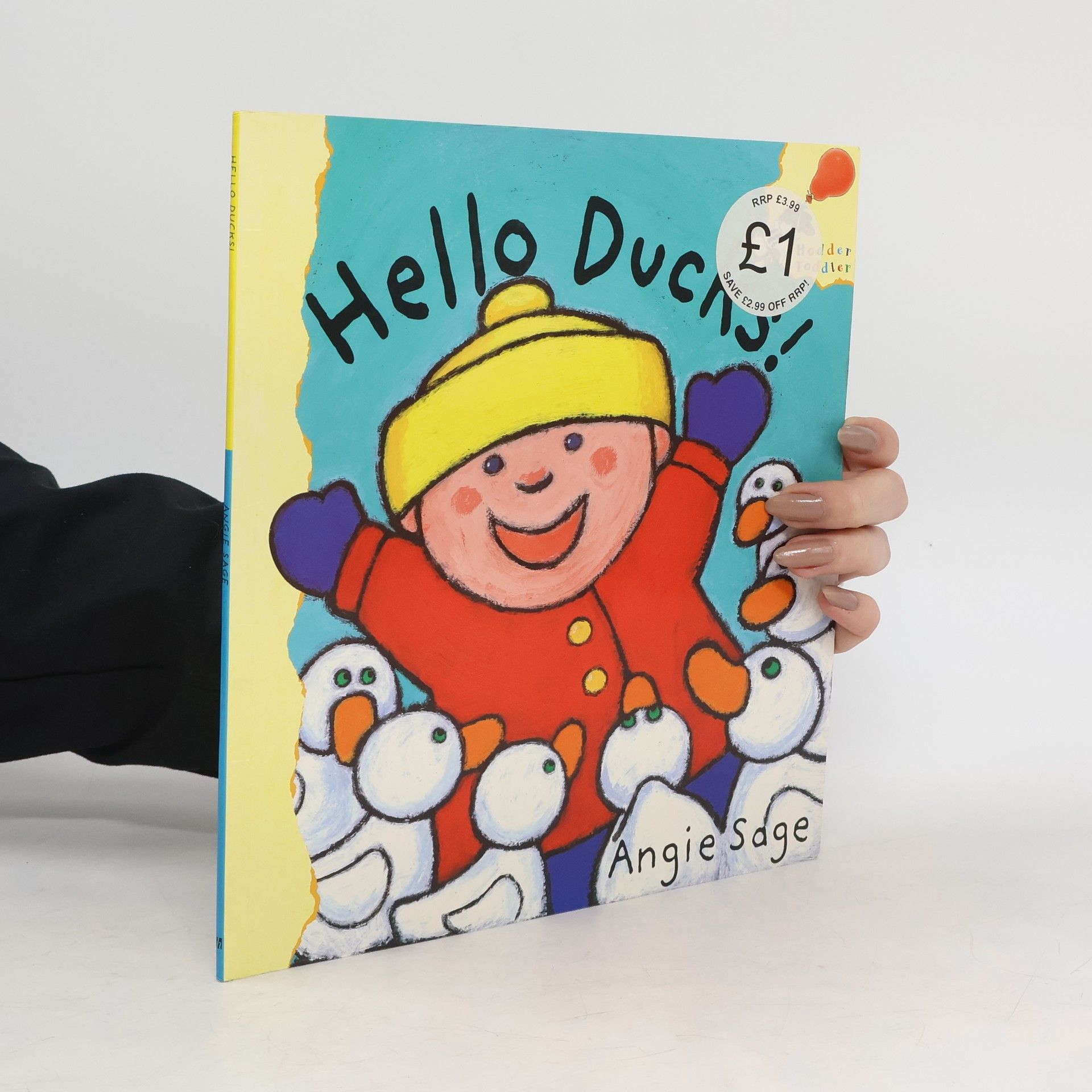 Angie Sage Hello Ducks!