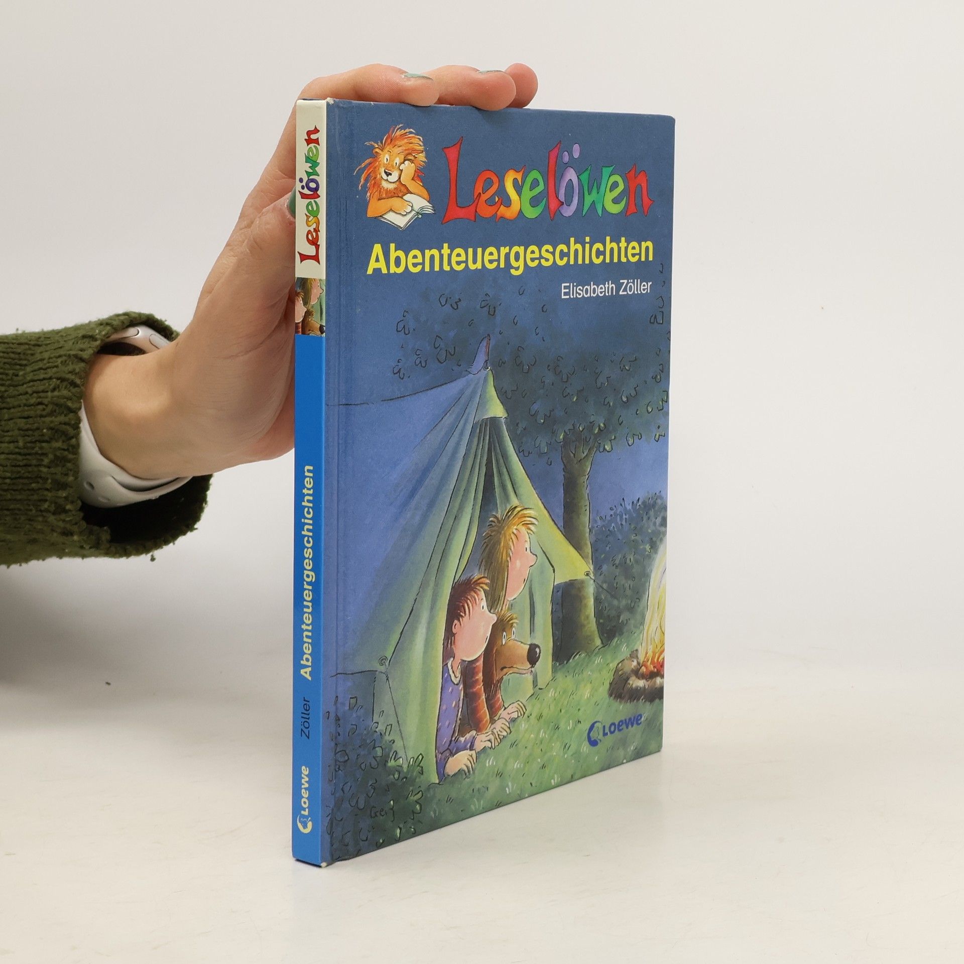 Leselöwen Abenteuergeschichten