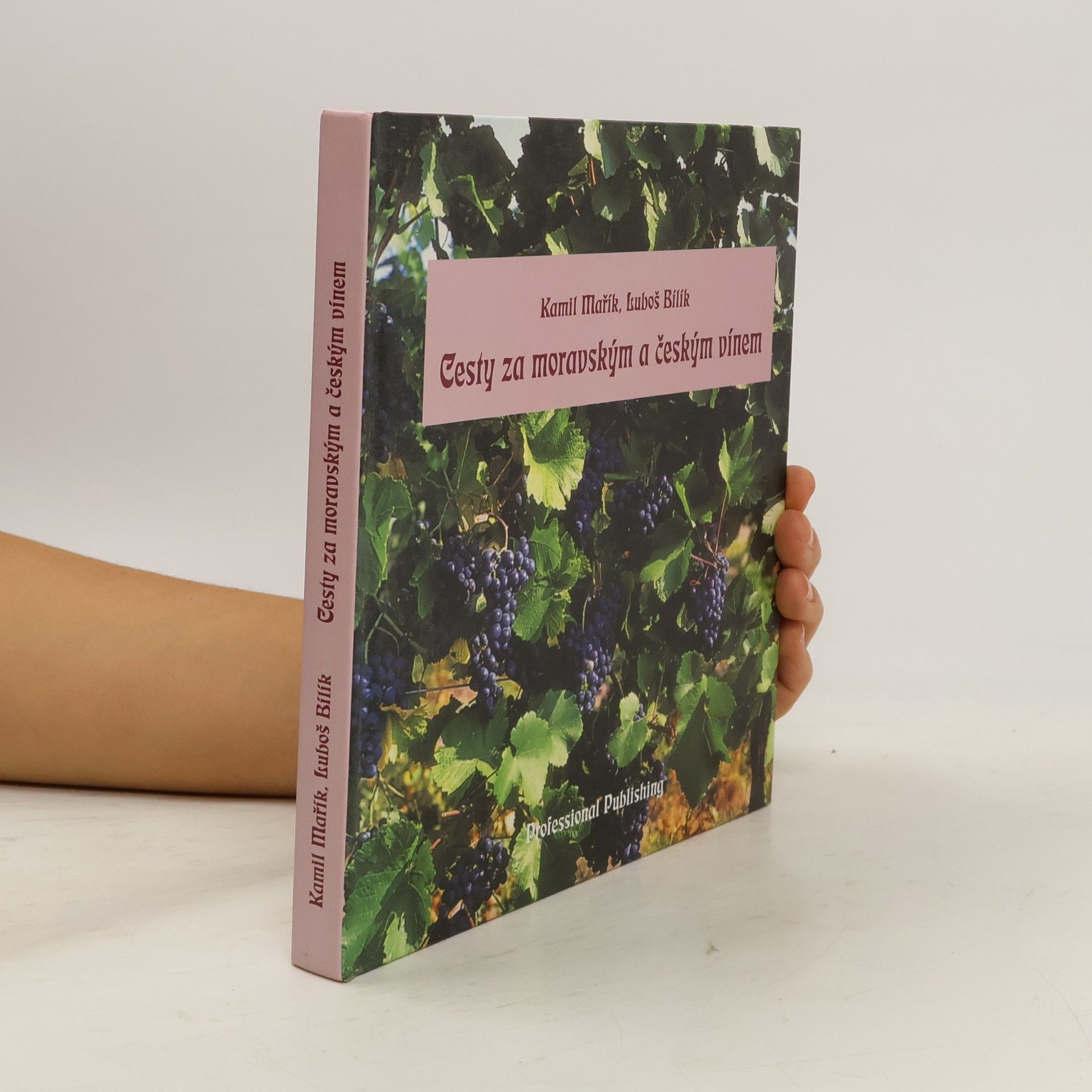 Kamil Mařík Cesty za moravským a českým vínem