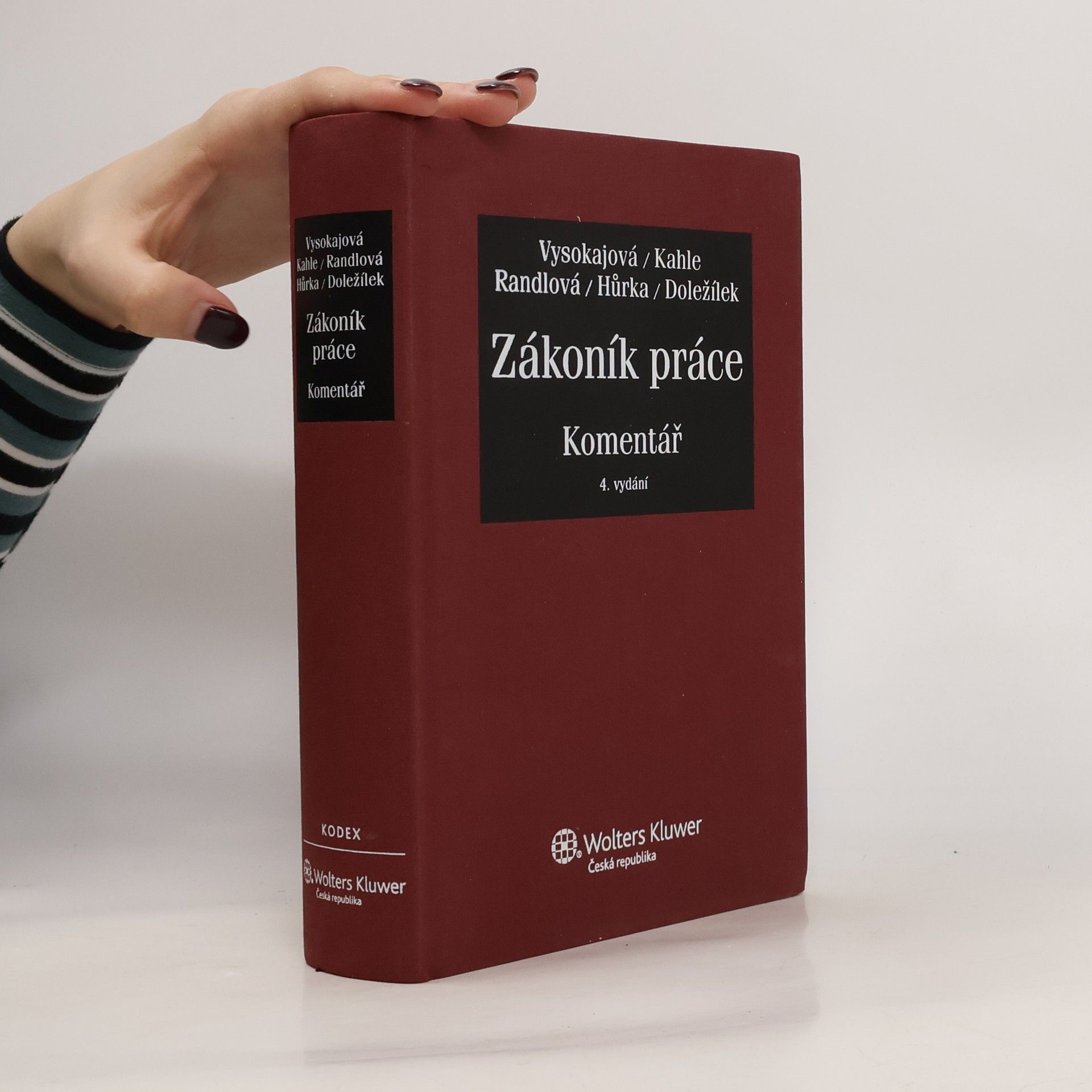 Margerita Vysokajová Zákoník práce: Komentář