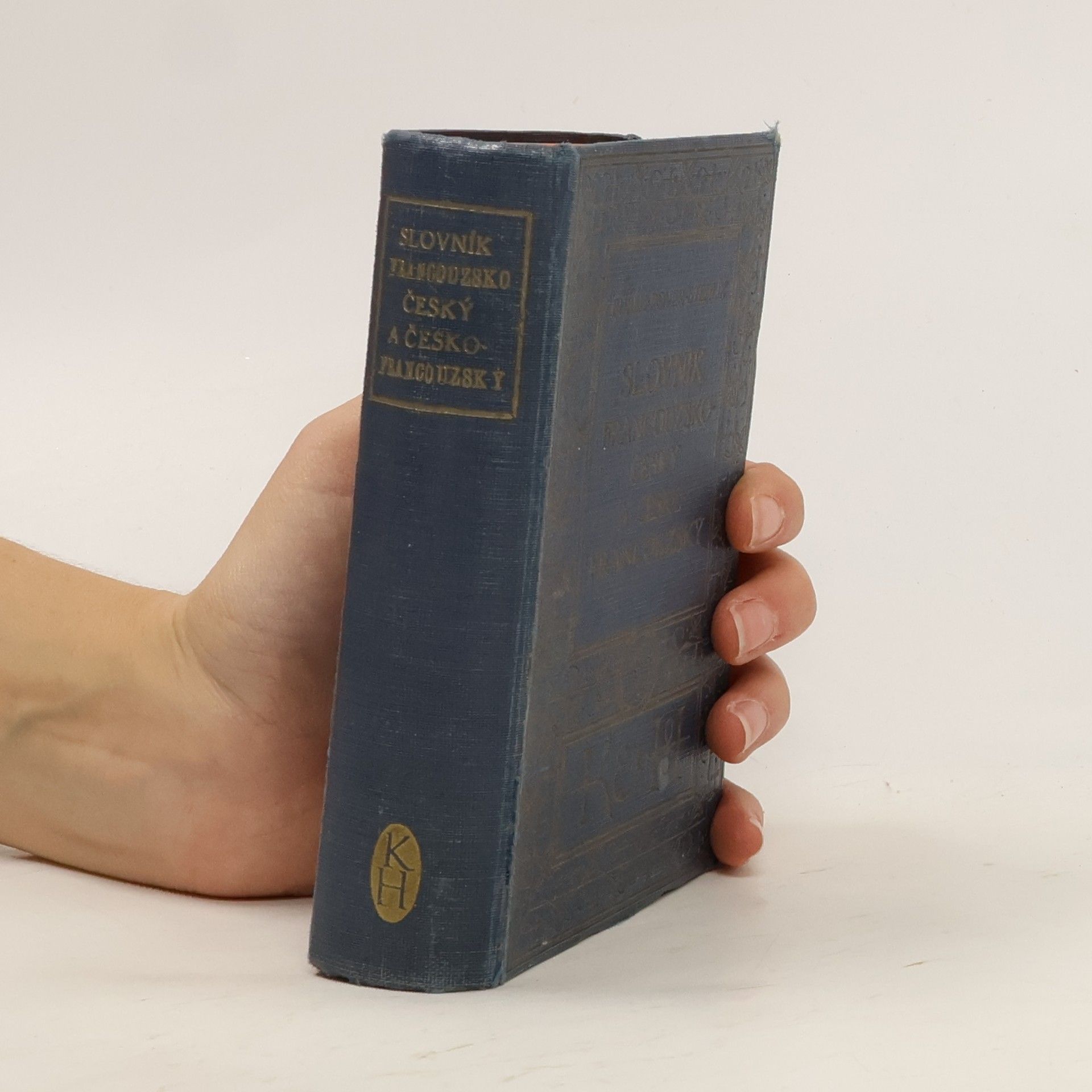 AA.VV. Slovník francouzsko-český a česko-francouzský