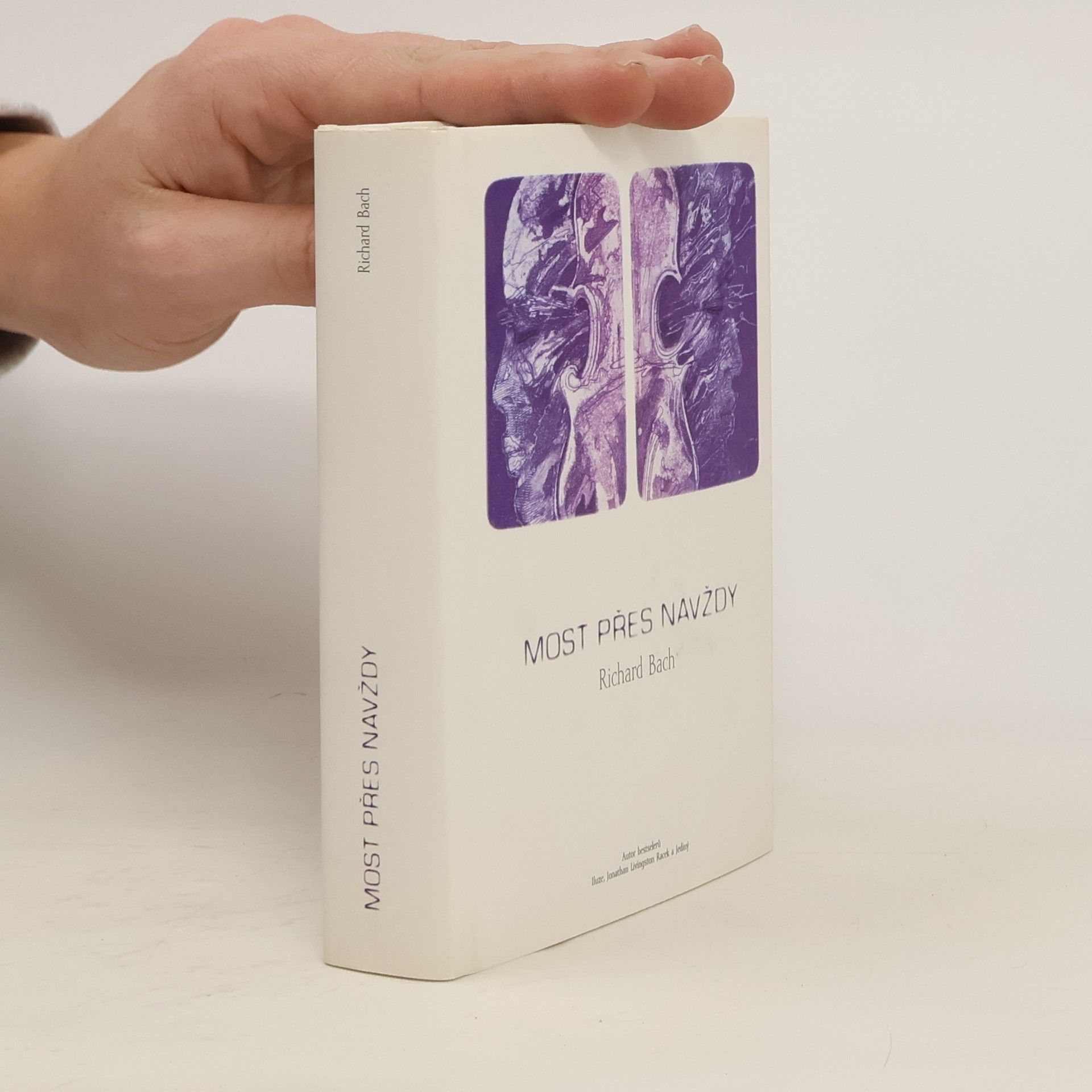 Richard Bach Most přes navždy