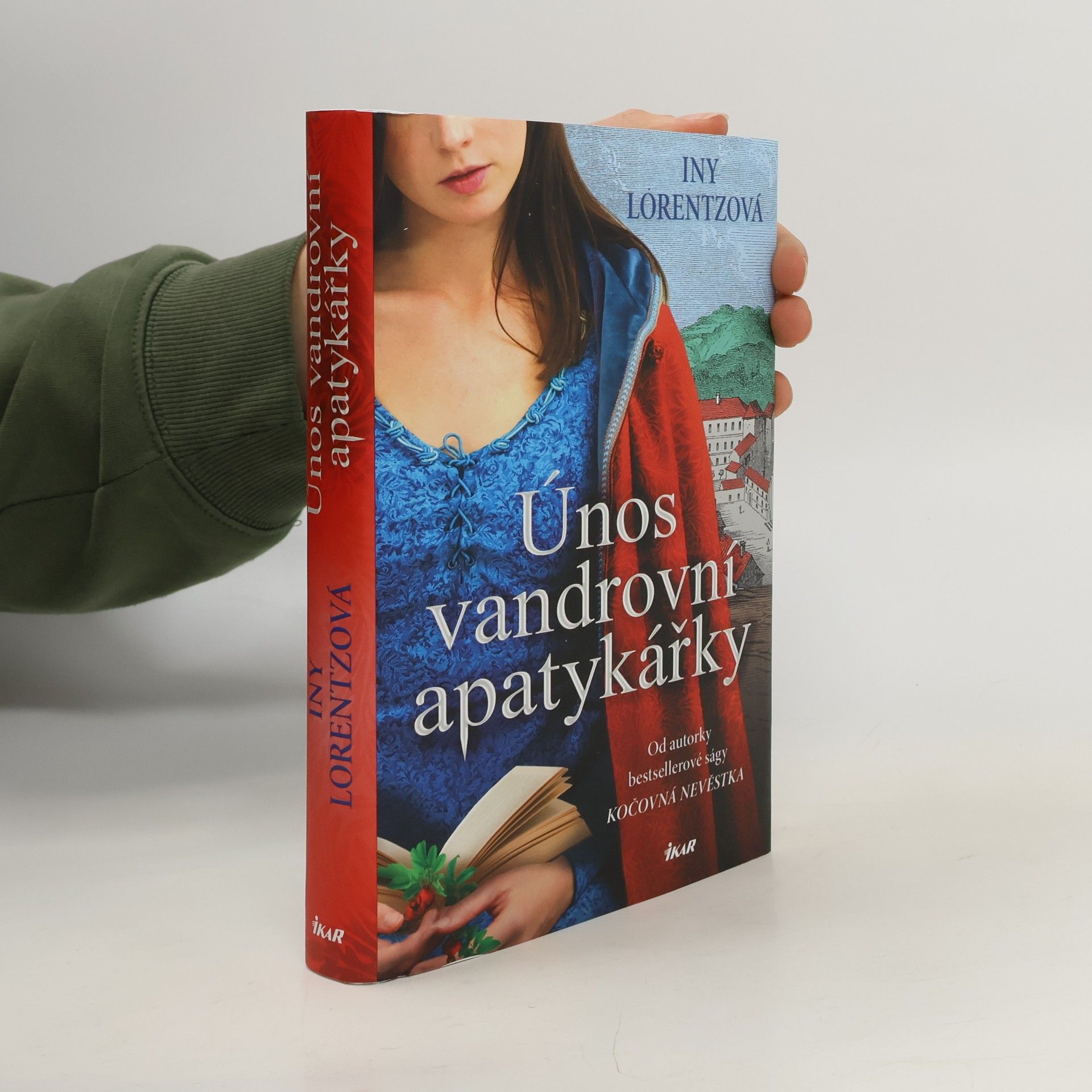 Iny Lorentz Únos vandrovní apatykářky