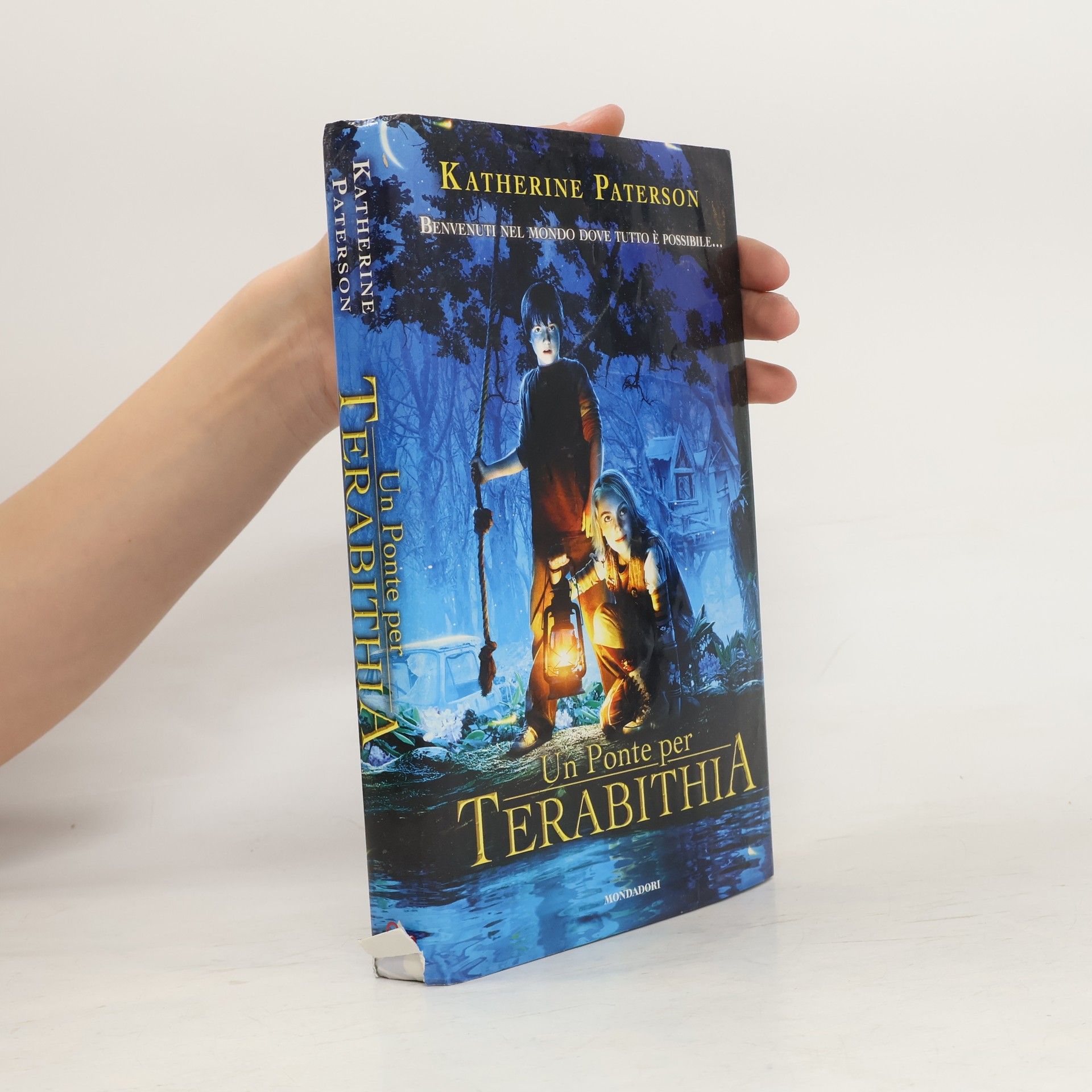 Un ponte per Terabithia