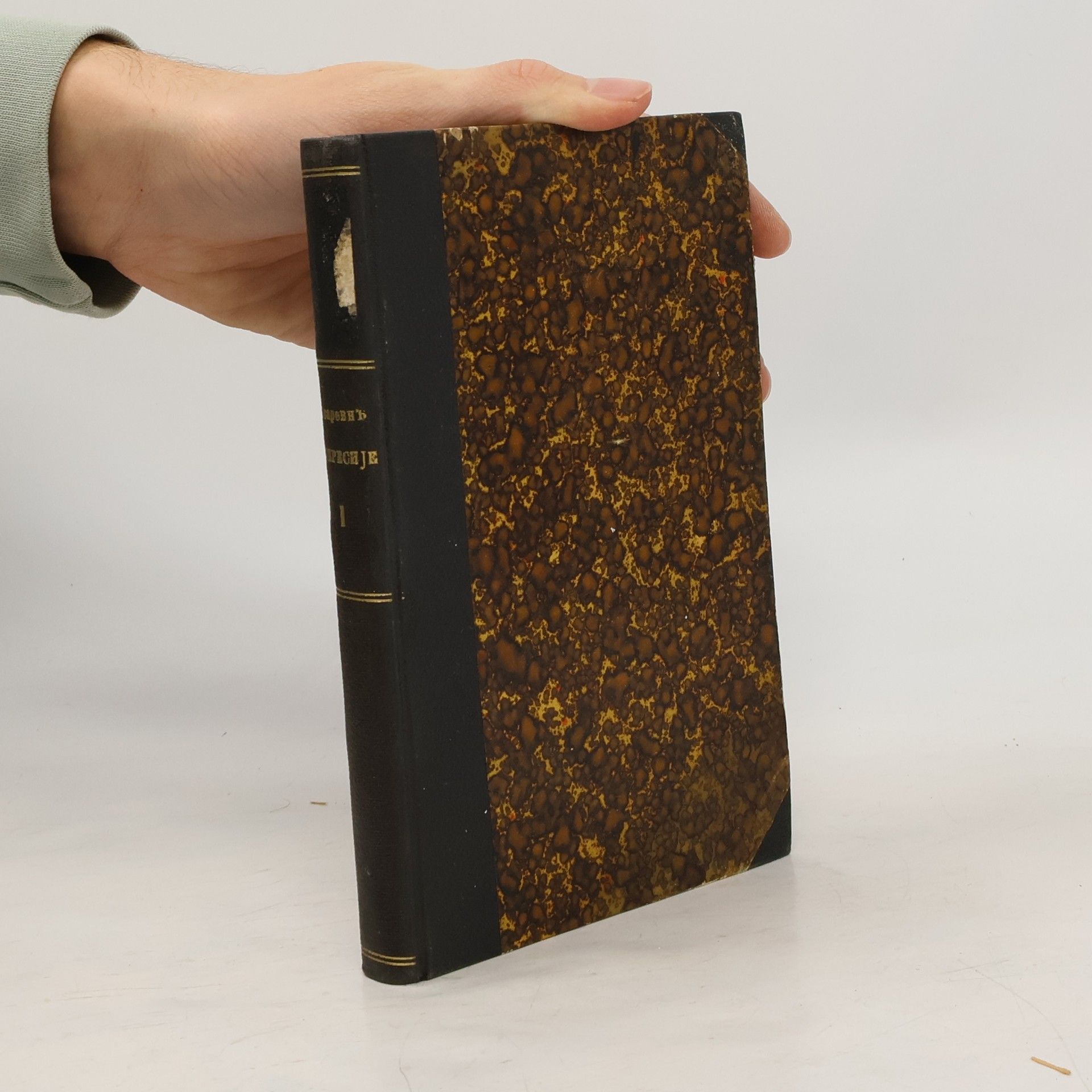 Branko Lazarević Импресије из књижевности I