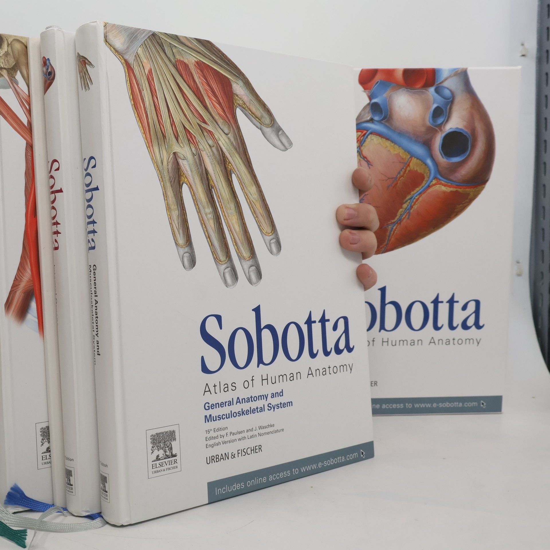 Autorenkollektiv Sobotta. Atlas of Human Anatomy