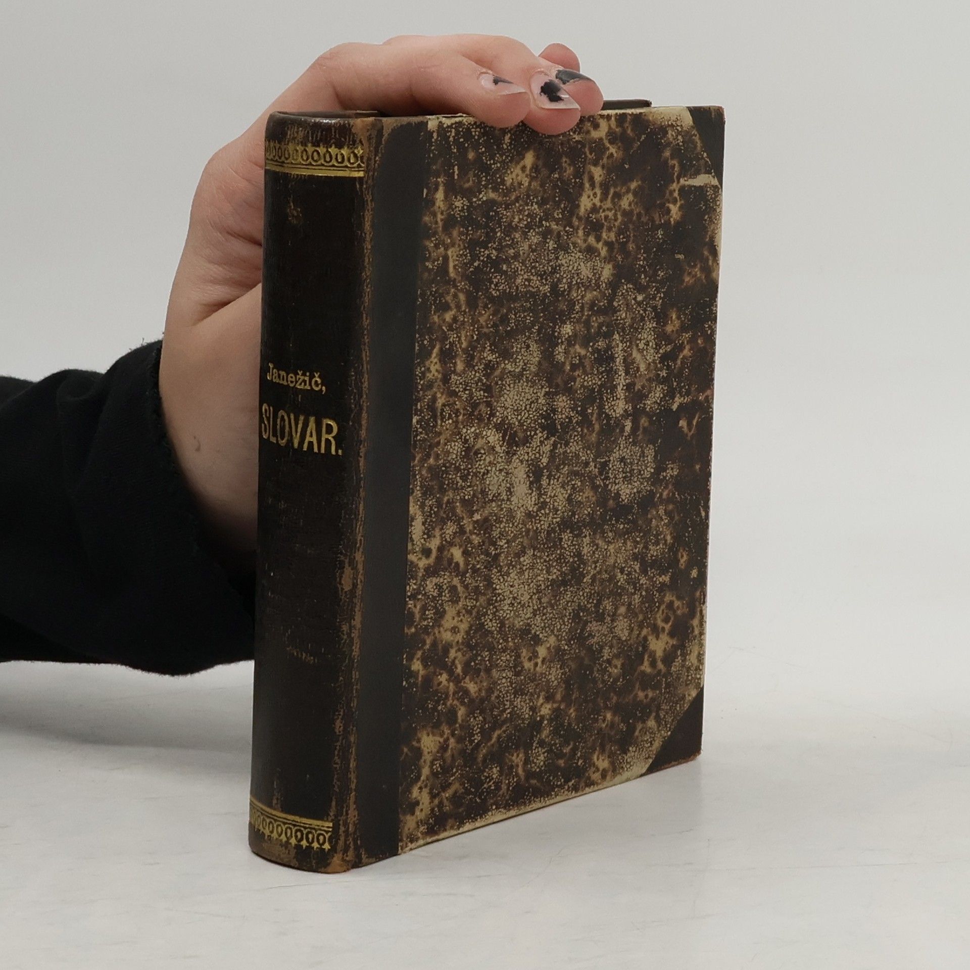 Julij Kleinmayr Slovensko-nemški slovar