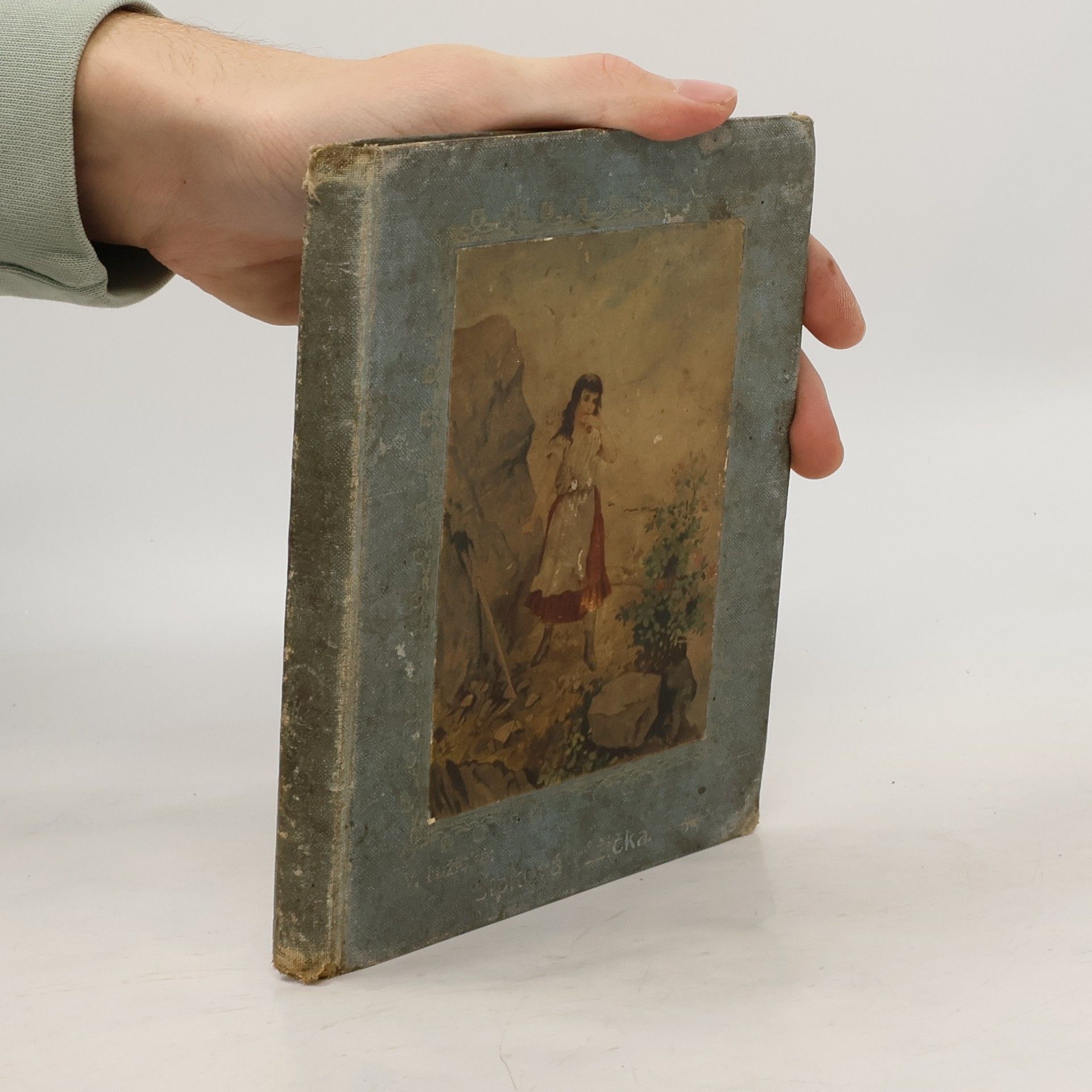 V. Lužická Šípková růžička