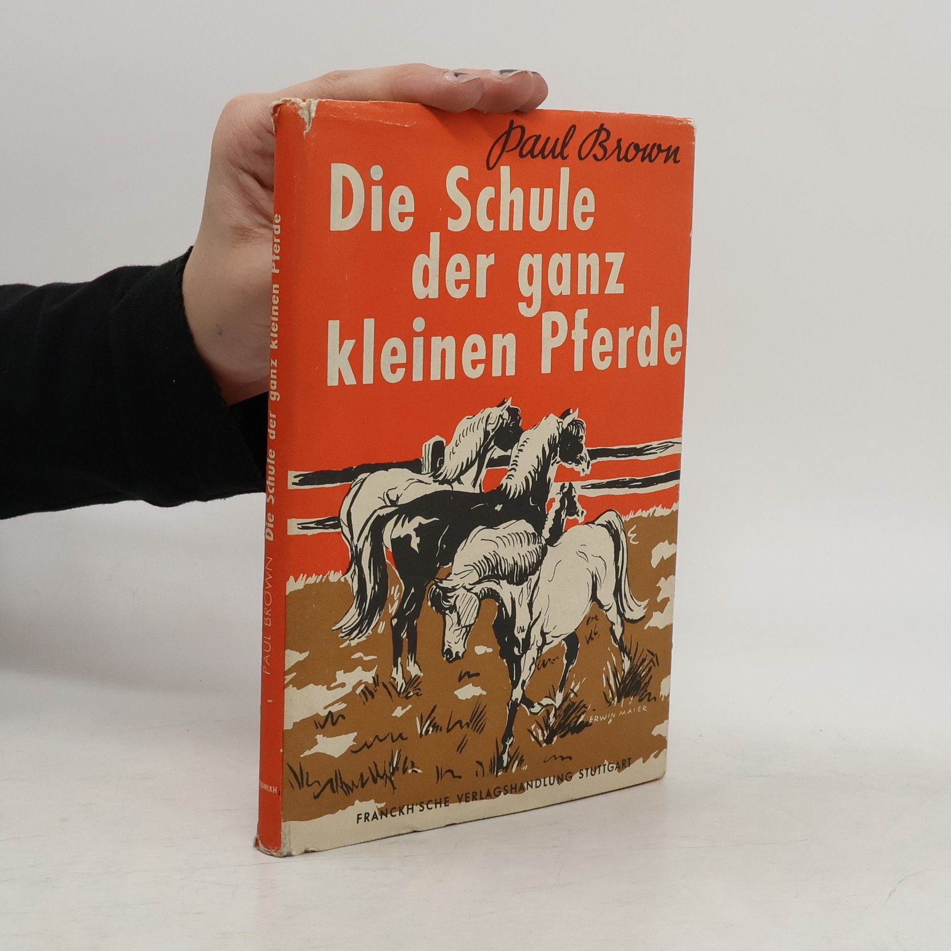 Die Schule der ganz kleinen Pferde