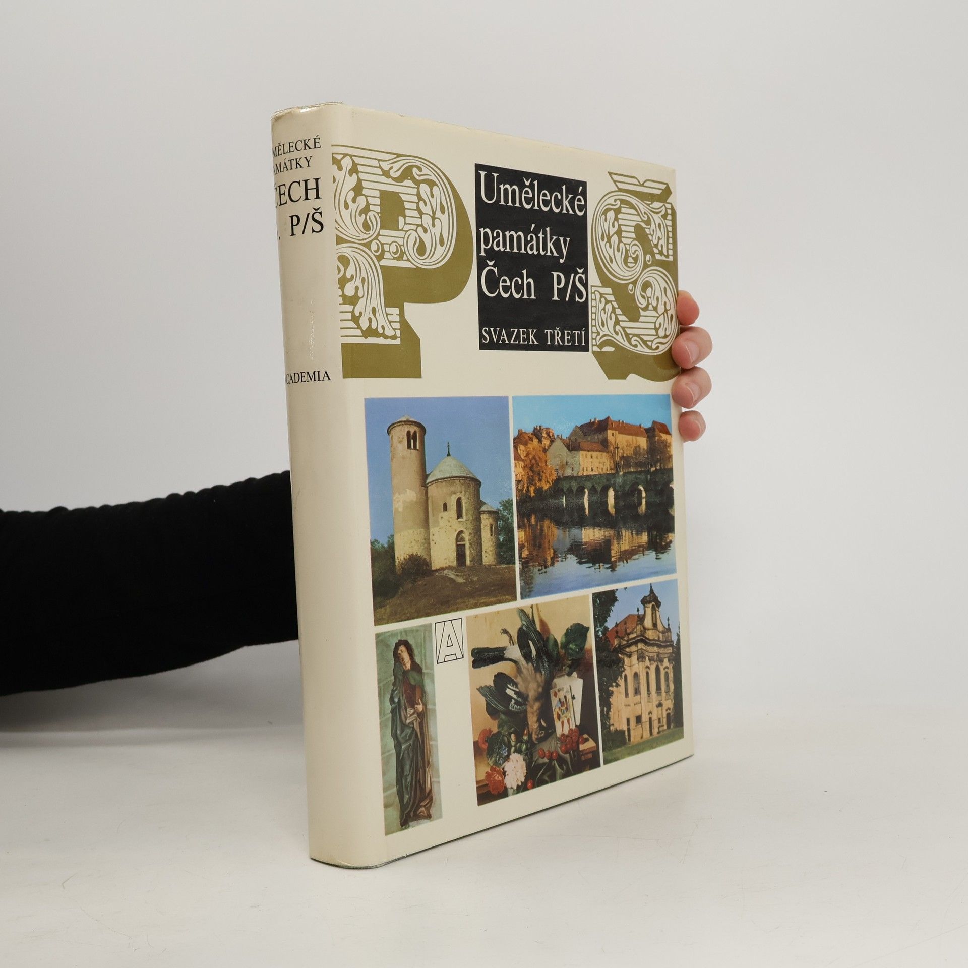 Kolektiv autorů Umělecké památky Čech 3. P-Š