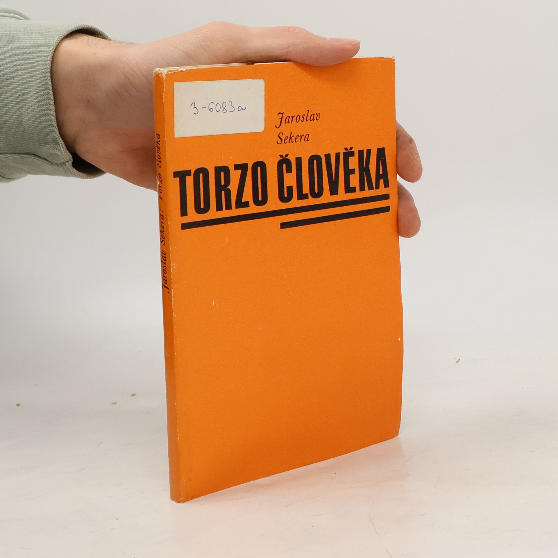 Jaroslav Sekera Torzo člověka