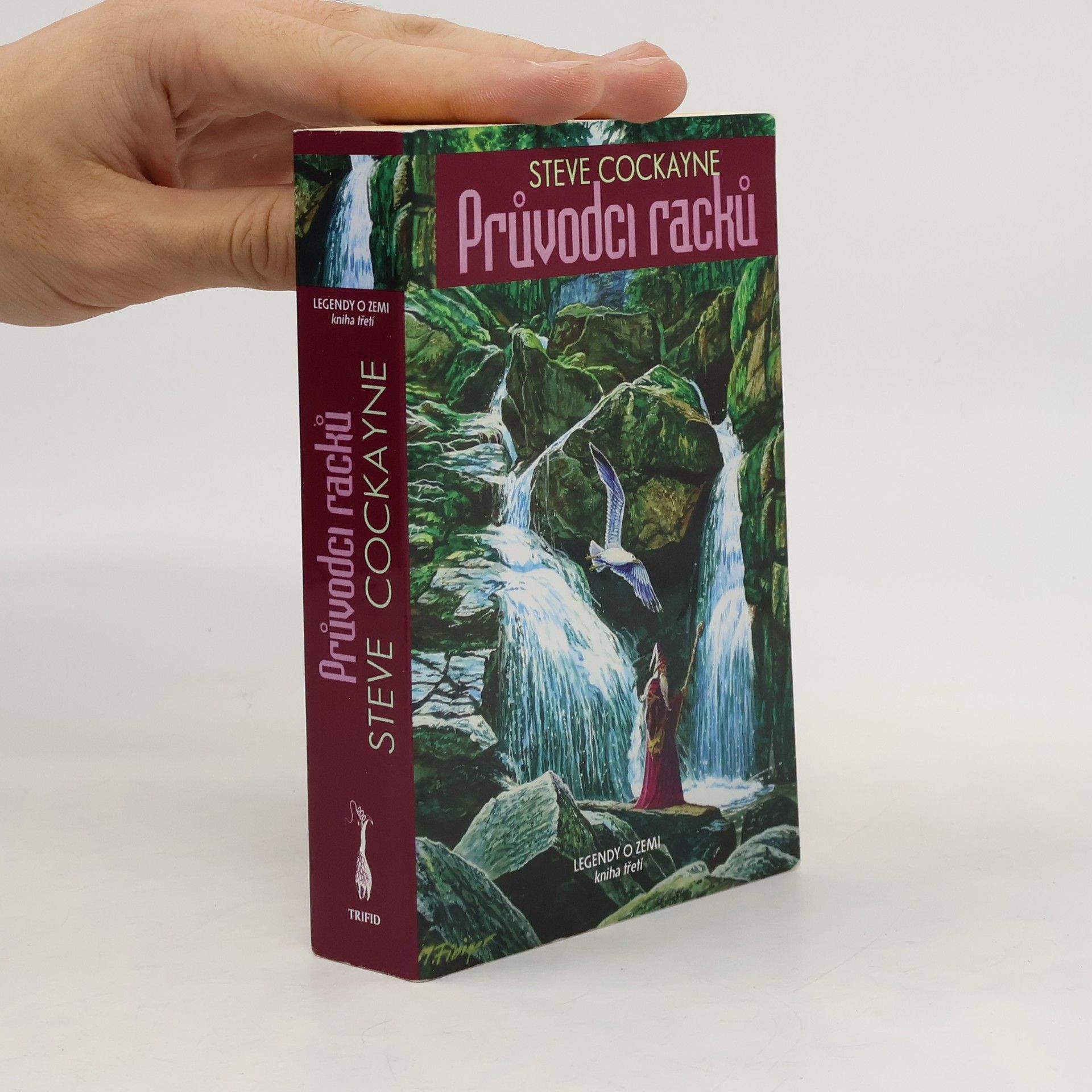 Steve Cockayne Průvodci racků