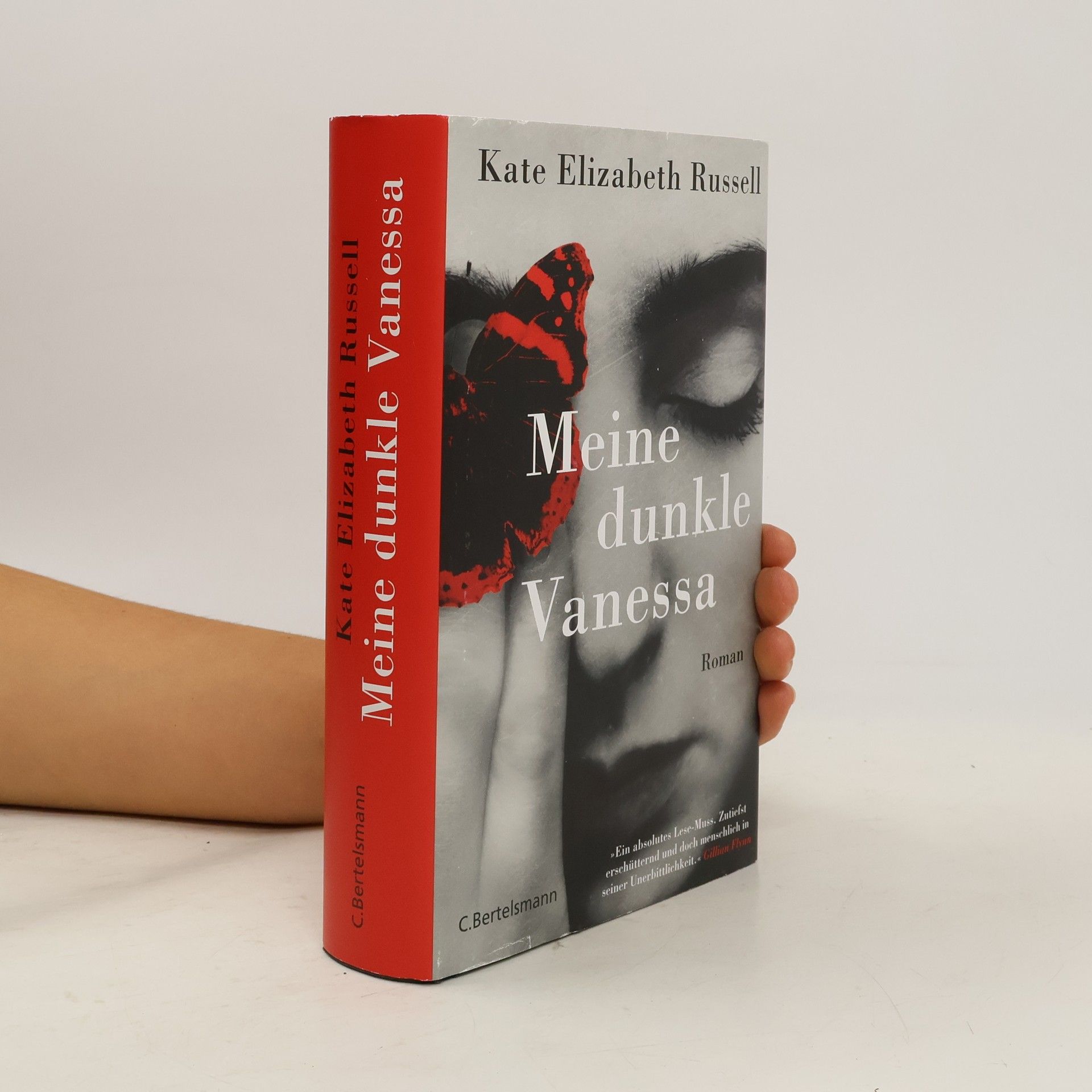 Kate Russell Meine dunkle Vanessa